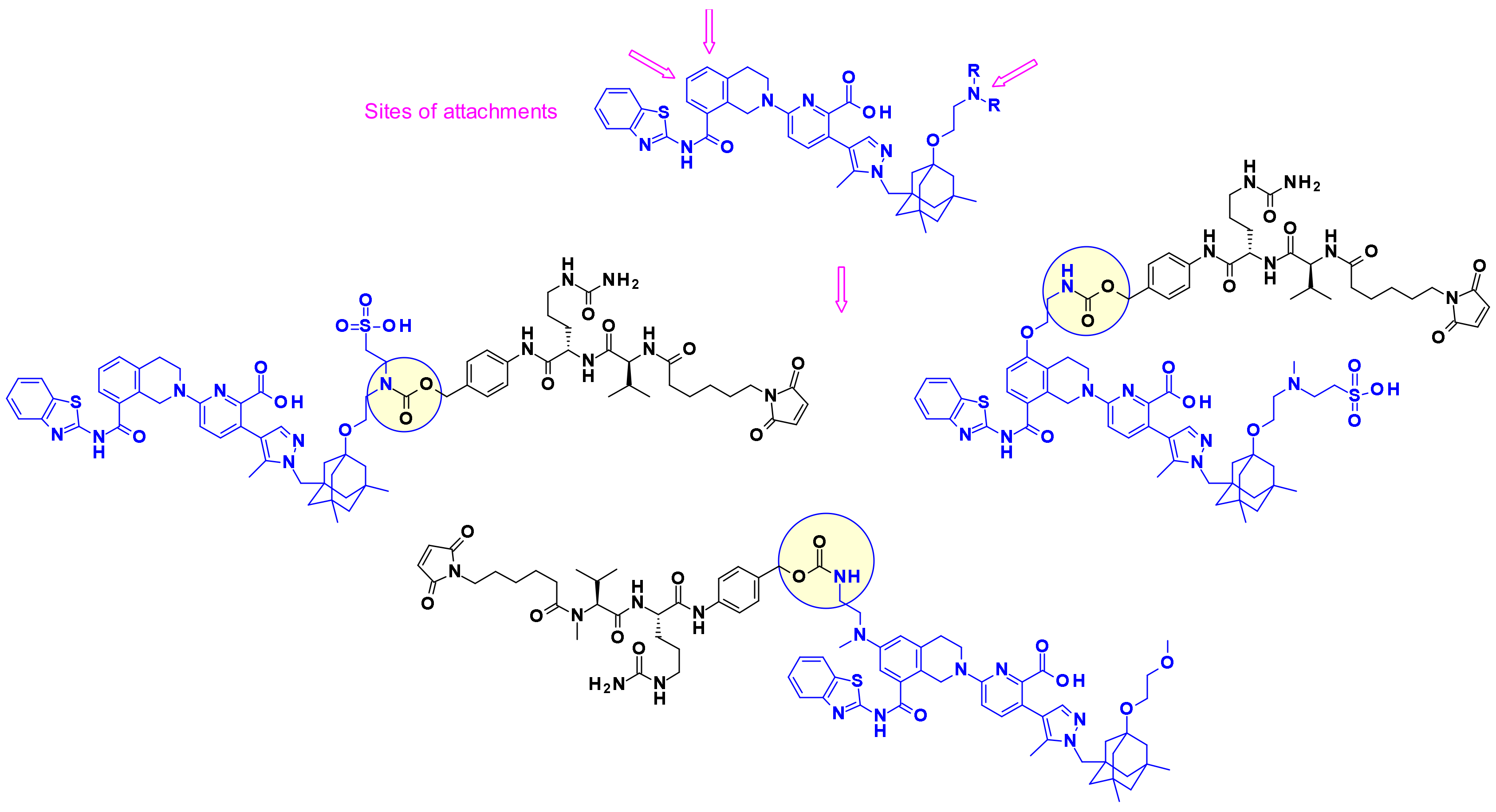 Pharmaceuticals 14 00442 g032 Pharmaceuticals 14 00442 g032