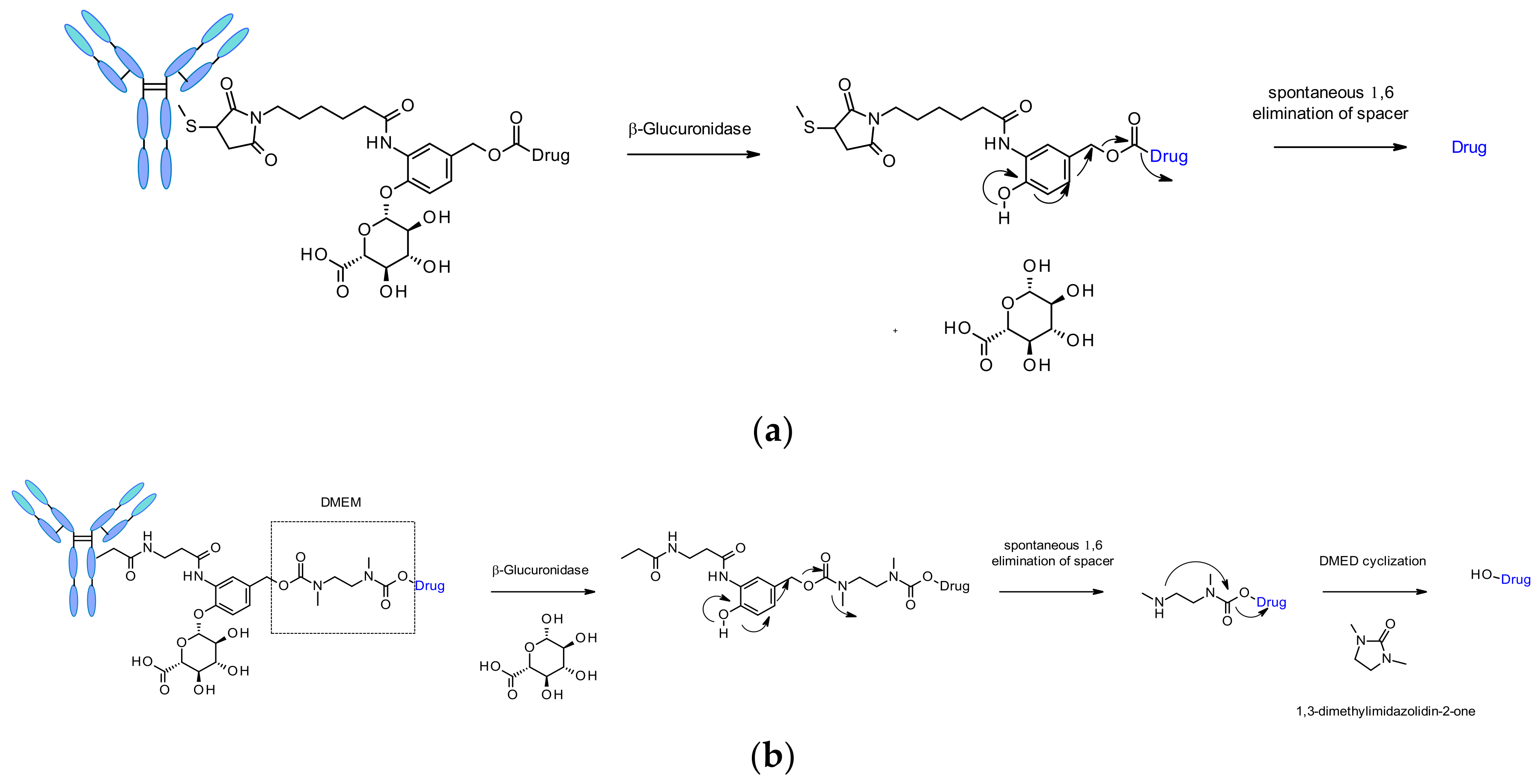 Pharmaceuticals 14 00442 g051 Pharmaceuticals 14 00442 g051