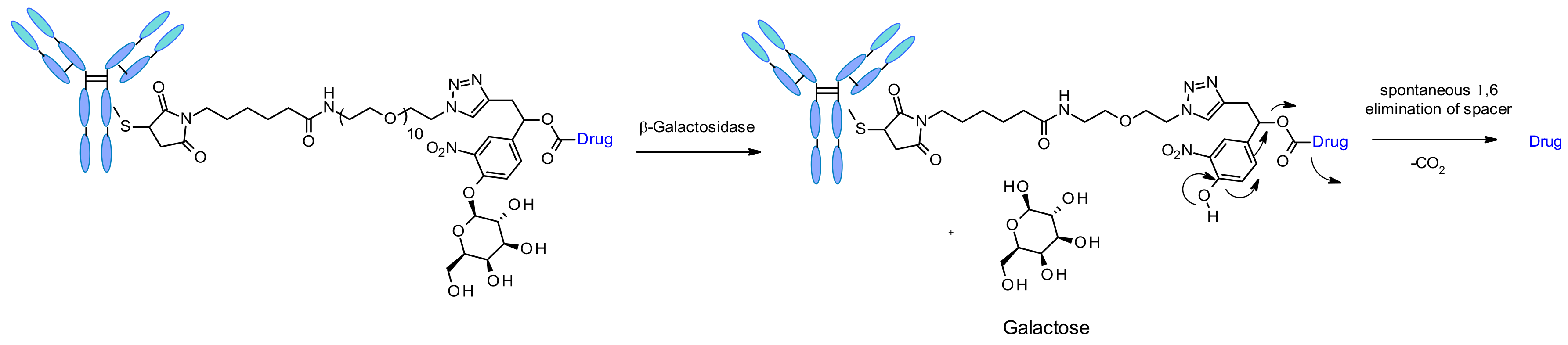 Pharmaceuticals 14 00442 g052 Pharmaceuticals 14 00442 g052