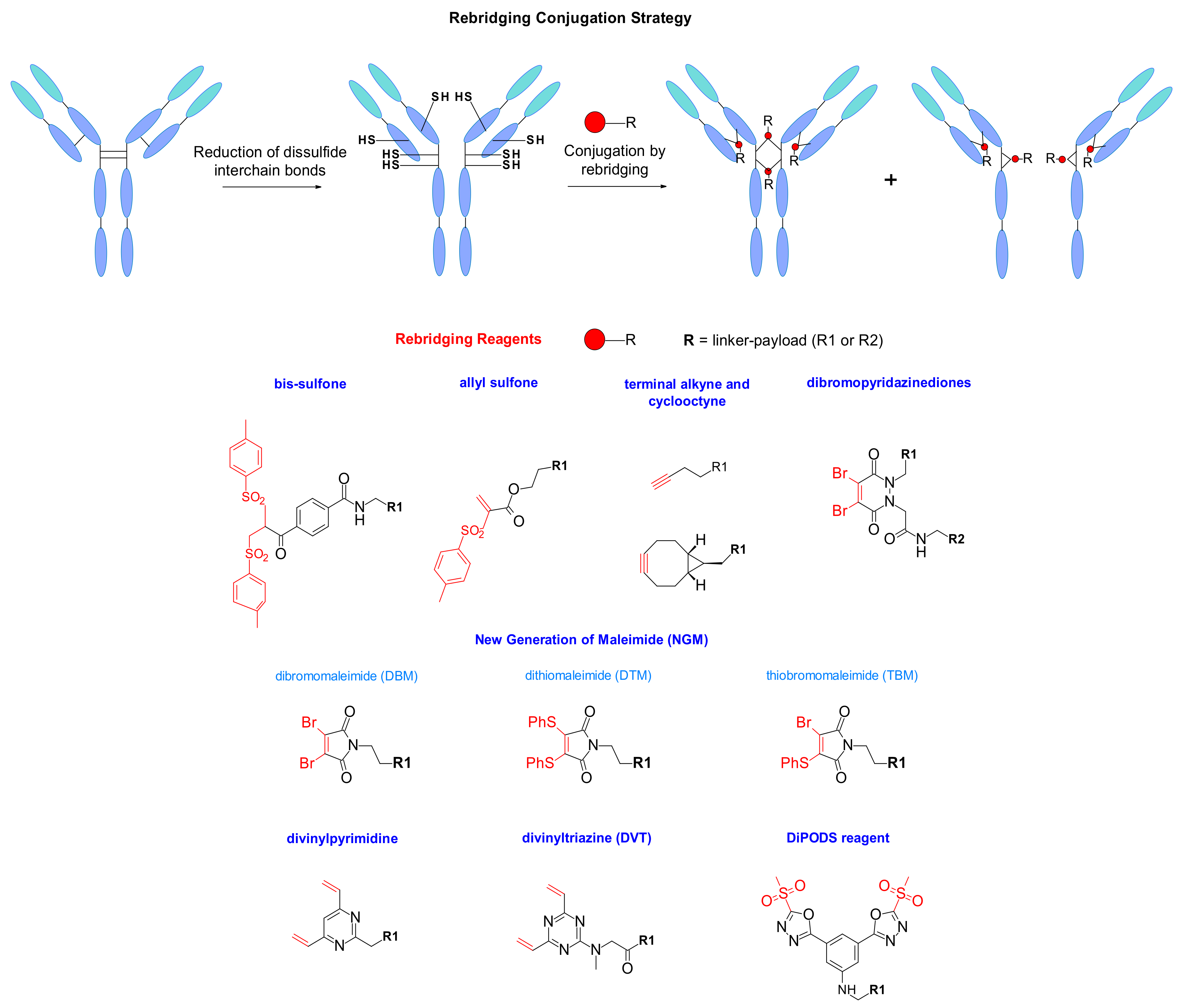 Pharmaceuticals 14 00442 g058 Pharmaceuticals 14 00442 g058