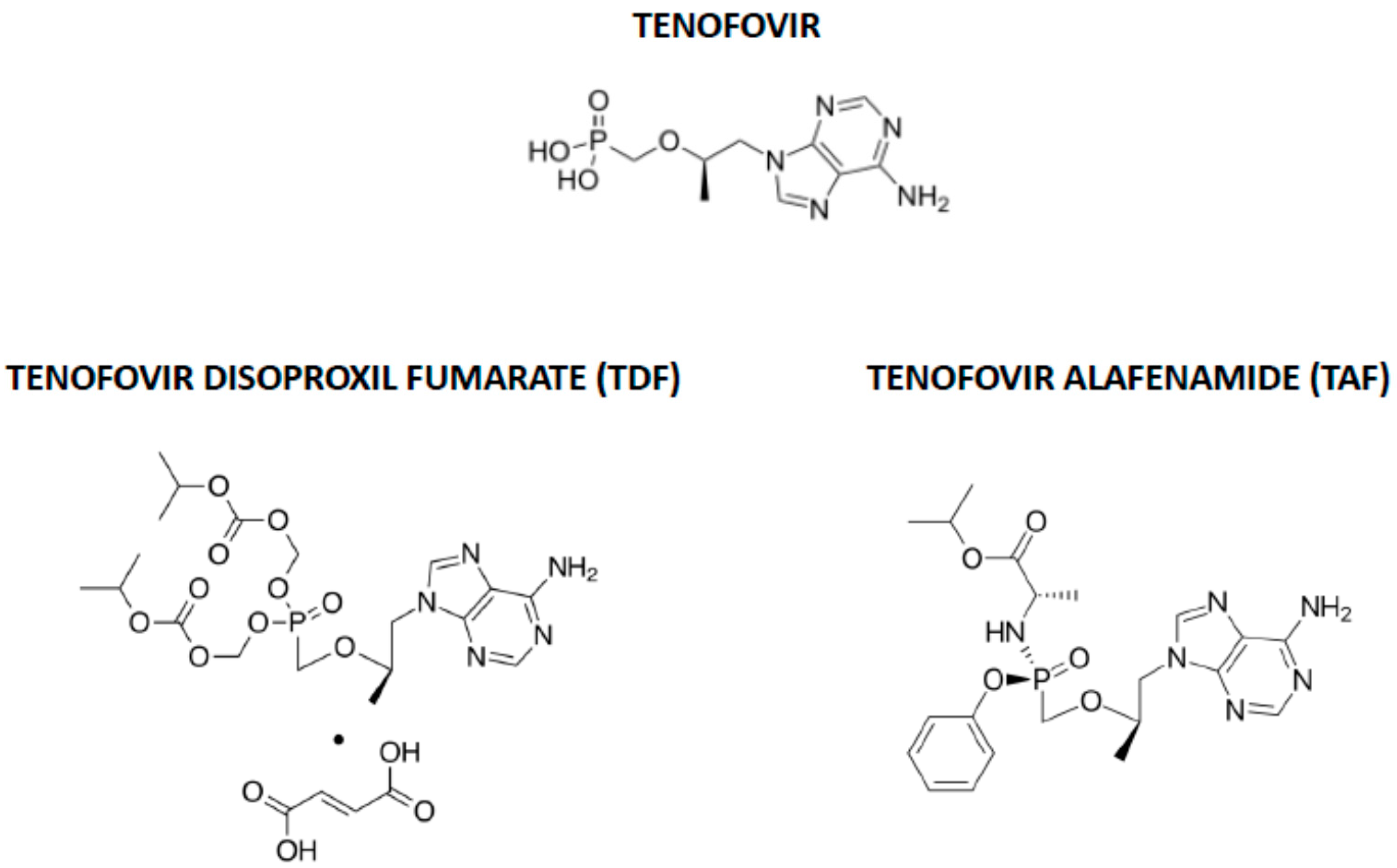 Pharmaceuticals 14 00454 g002