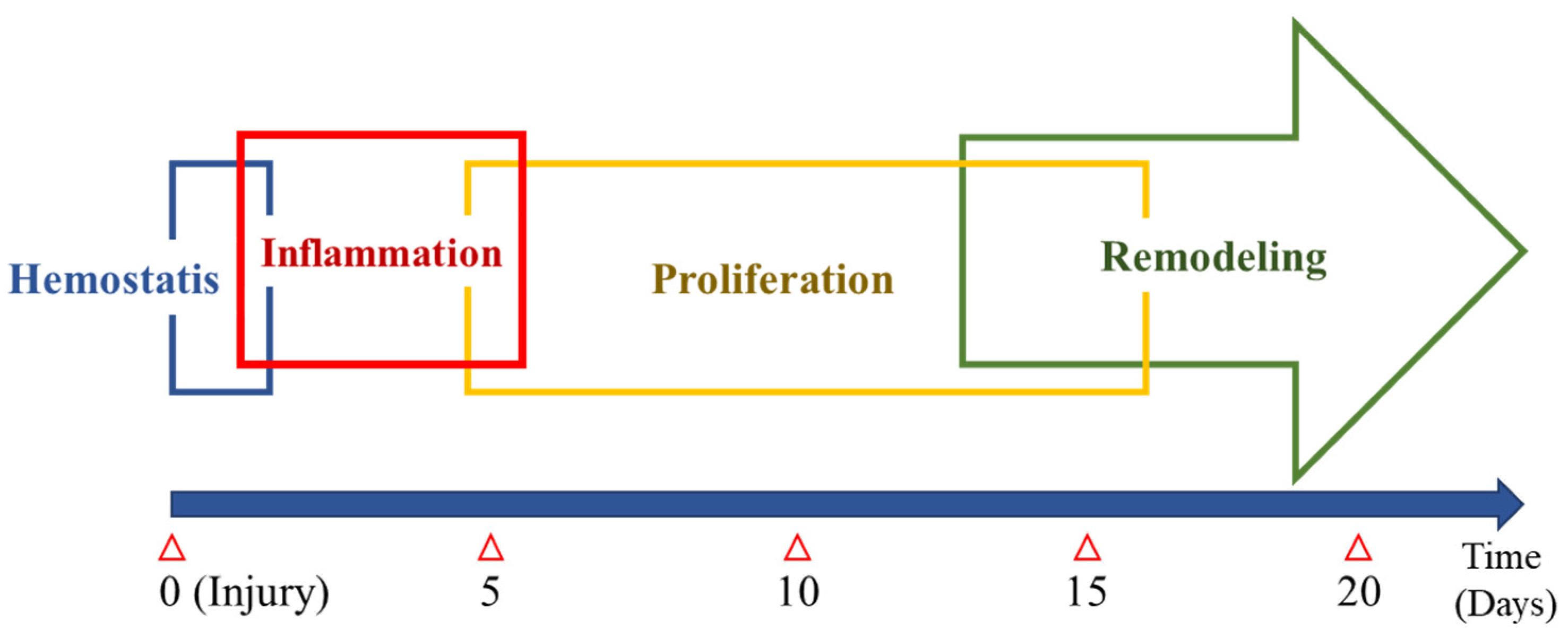 Pharmaceuticals 14 00456 g002