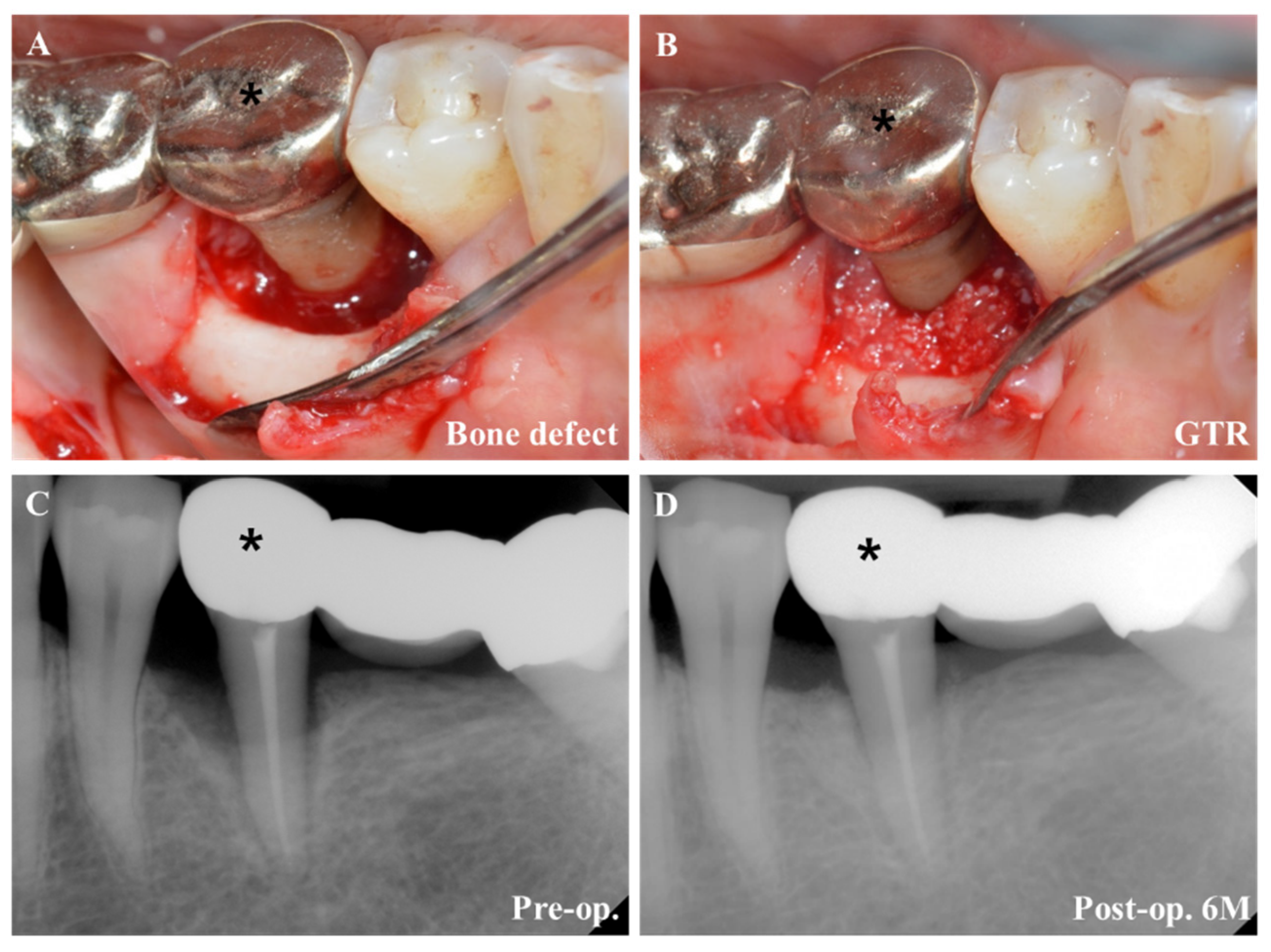 Pharmaceuticals 14 00456 g004