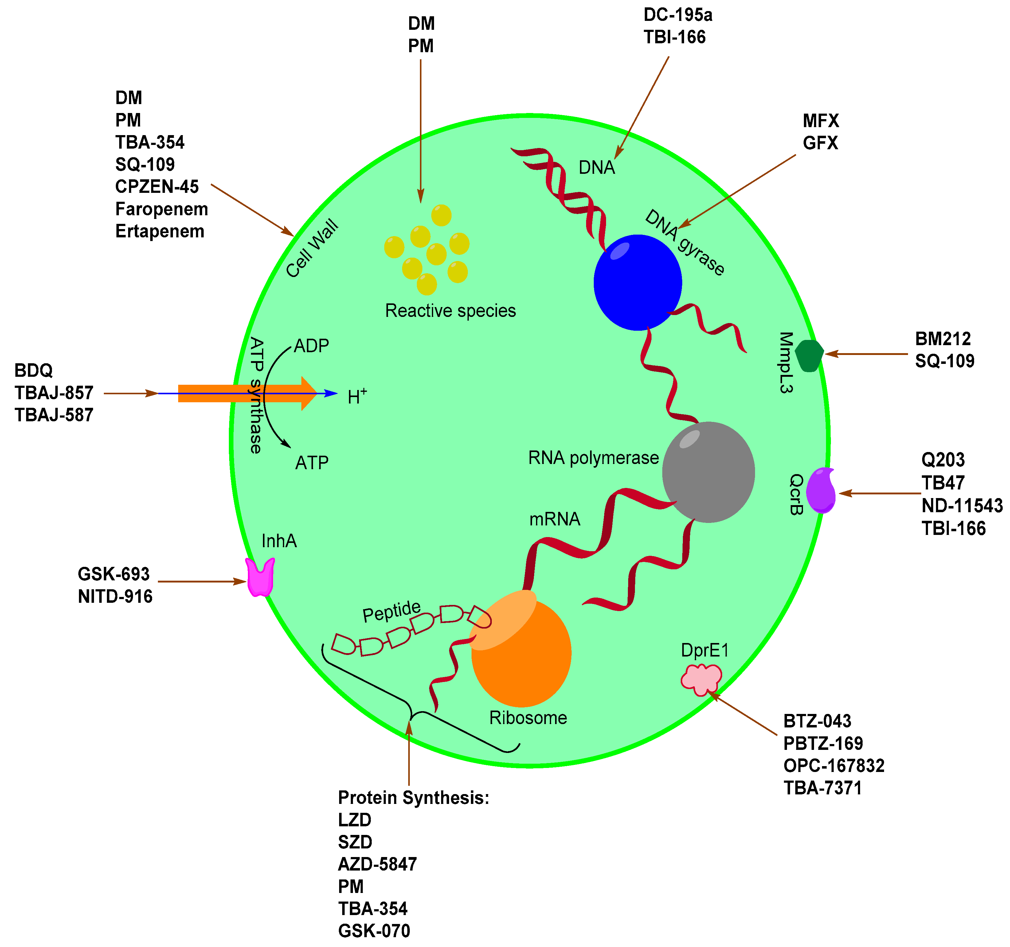 Pharmaceuticals 14 00461 sch001 Pharmaceuticals 14 00461 sch001