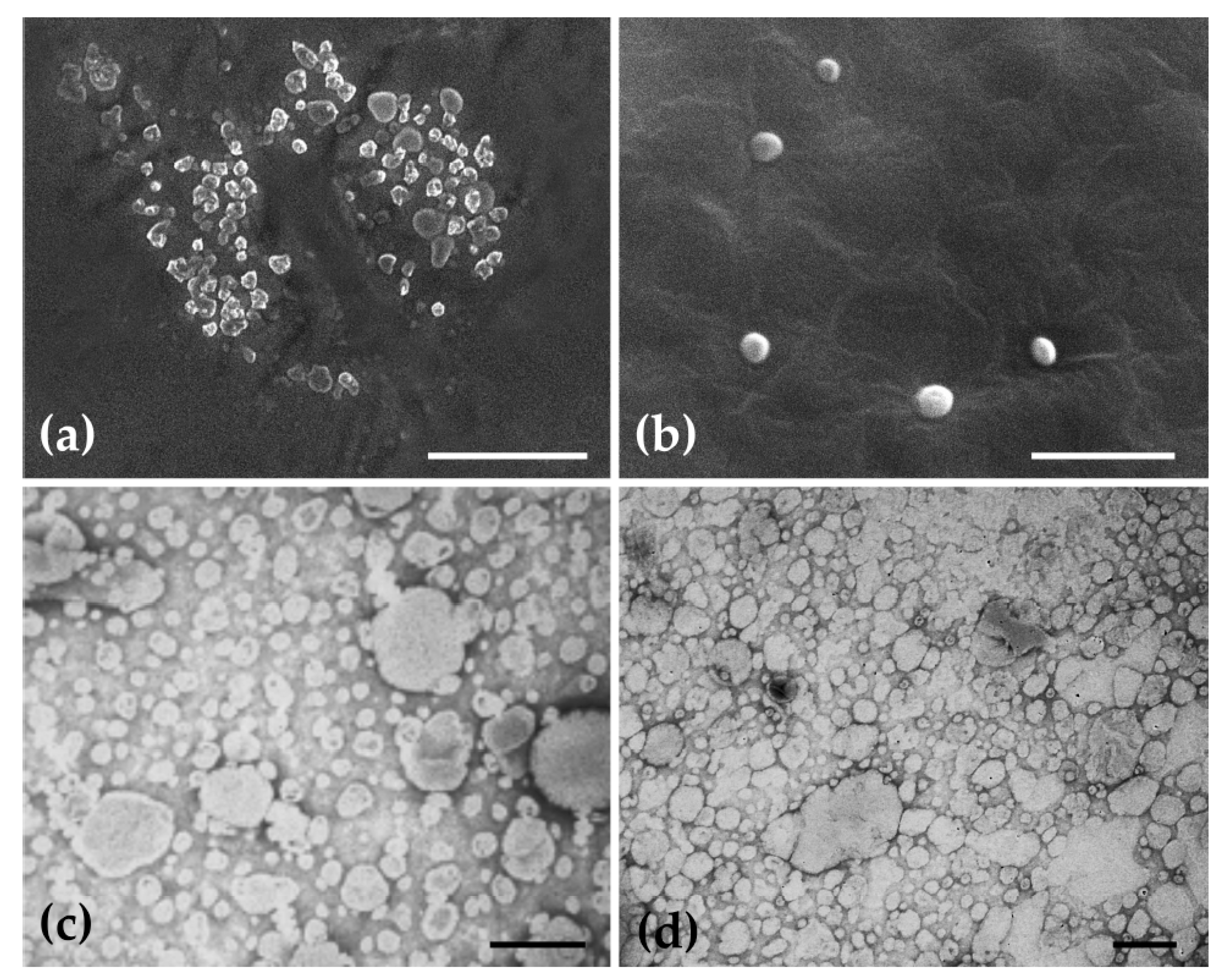 Pharmaceuticals 14 00467 g003 Pharmaceuticals 14 00467 g003