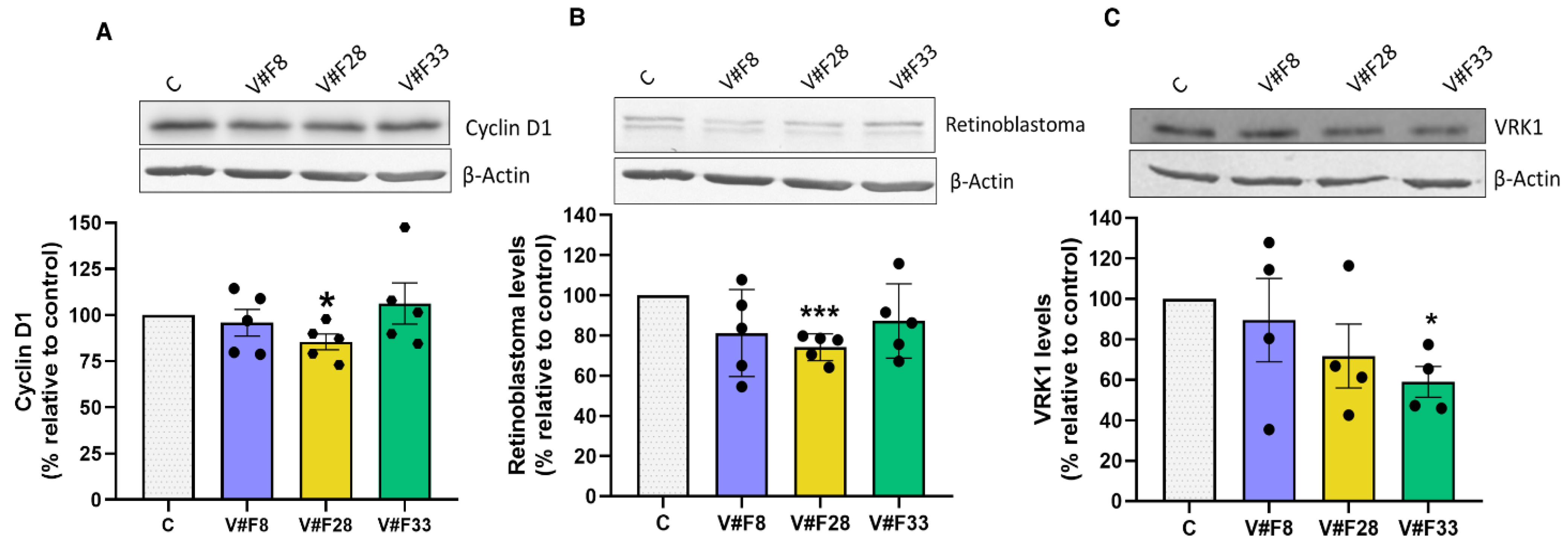 Pharmaceuticals 14 00473 g005 Pharmaceuticals 14 00473 g005