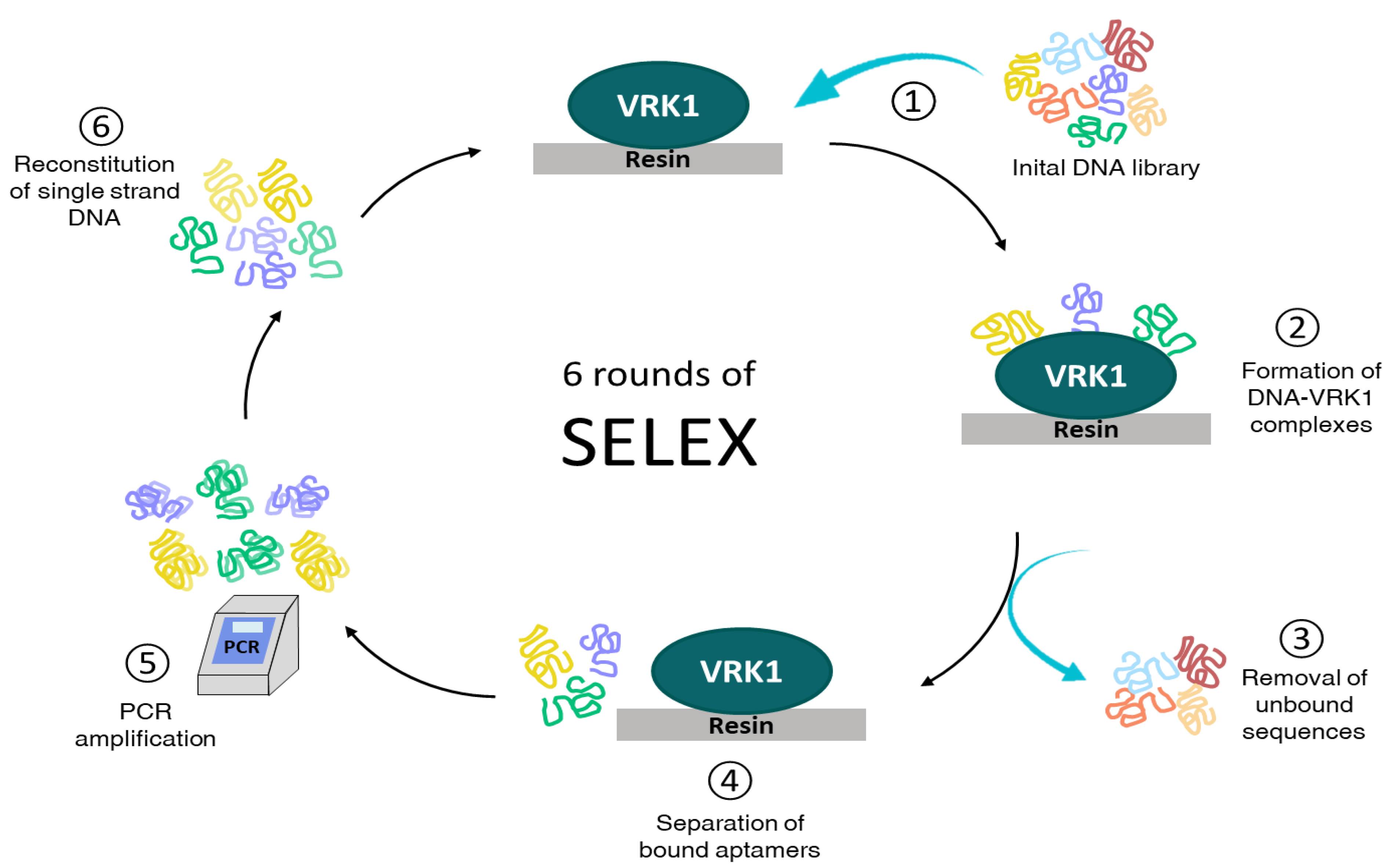 Pharmaceuticals 14 00473 g006 Pharmaceuticals 14 00473 g006