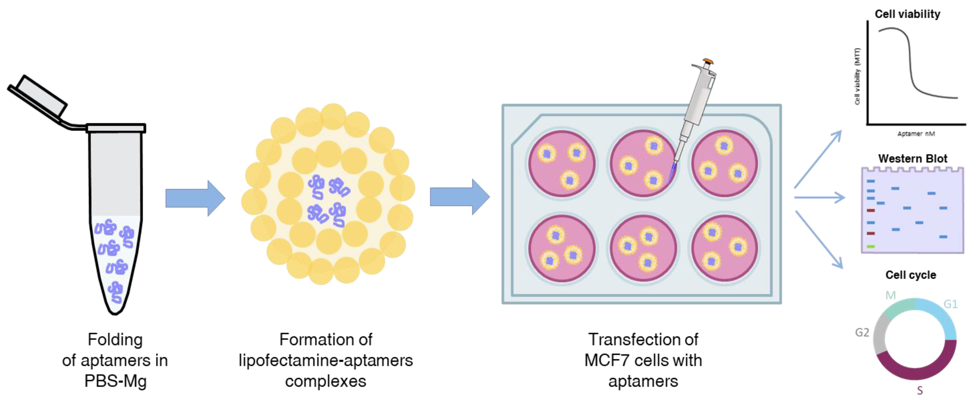 Pharmaceuticals 14 00473 g007 Pharmaceuticals 14 00473 g007