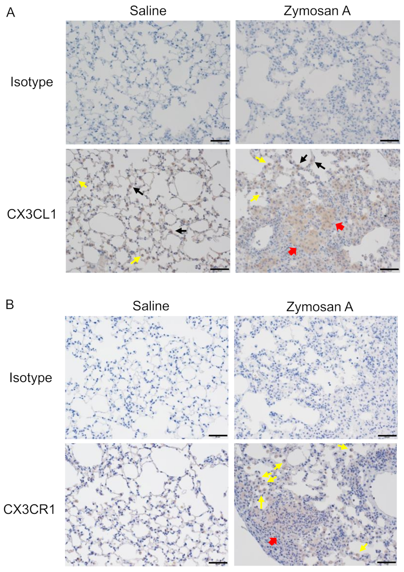 Pharmaceuticals 14 00474 g002 Pharmaceuticals 14 00474 g002