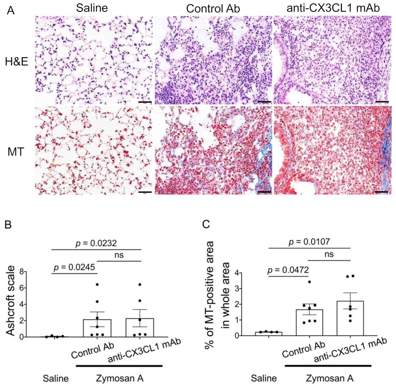Pharmaceuticals 14 00474 g003 Pharmaceuticals 14 00474 g003