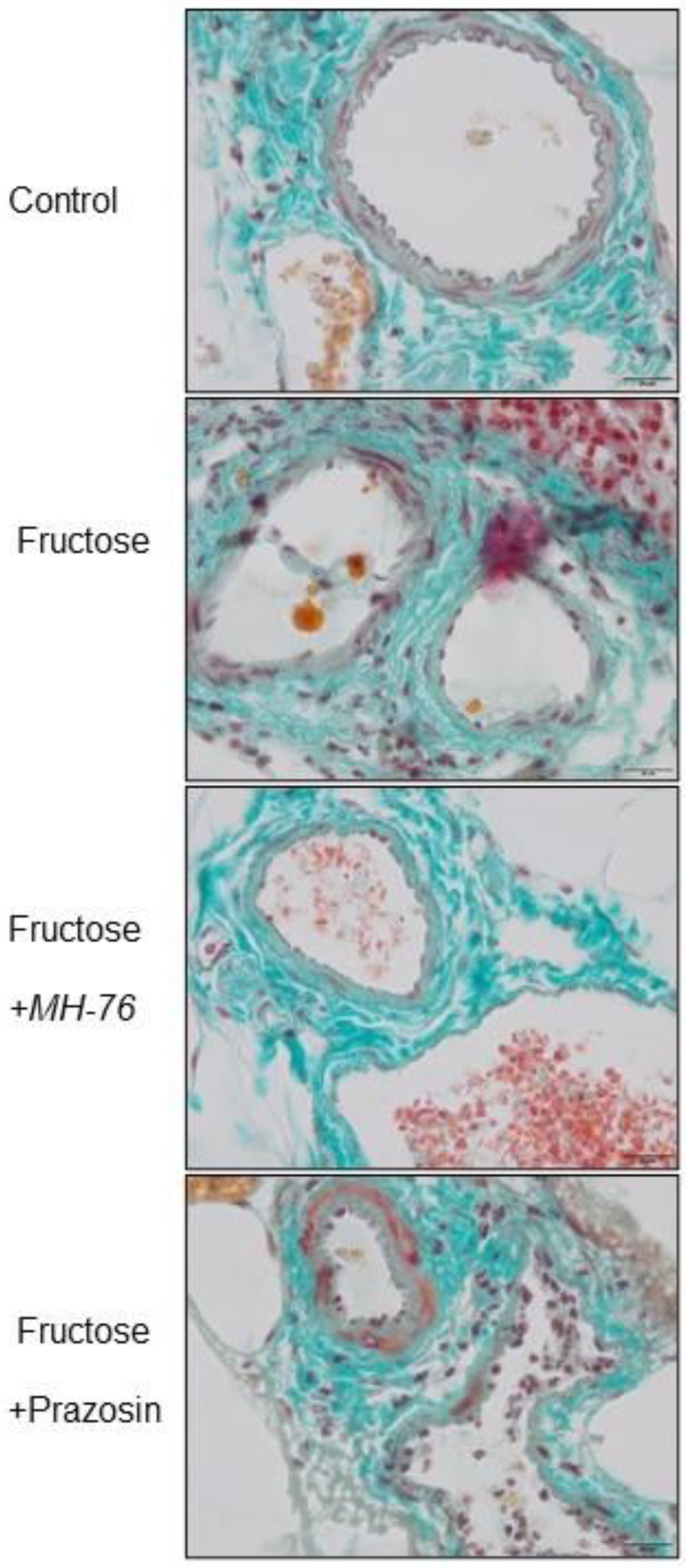 Pharmaceuticals 14 00477 g007