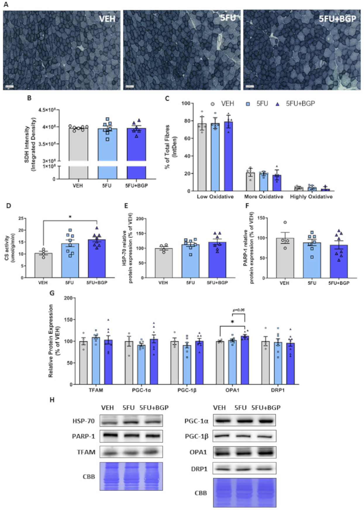 Pharmaceuticals 14 00478 g005 Pharmaceuticals 14 00478 g005