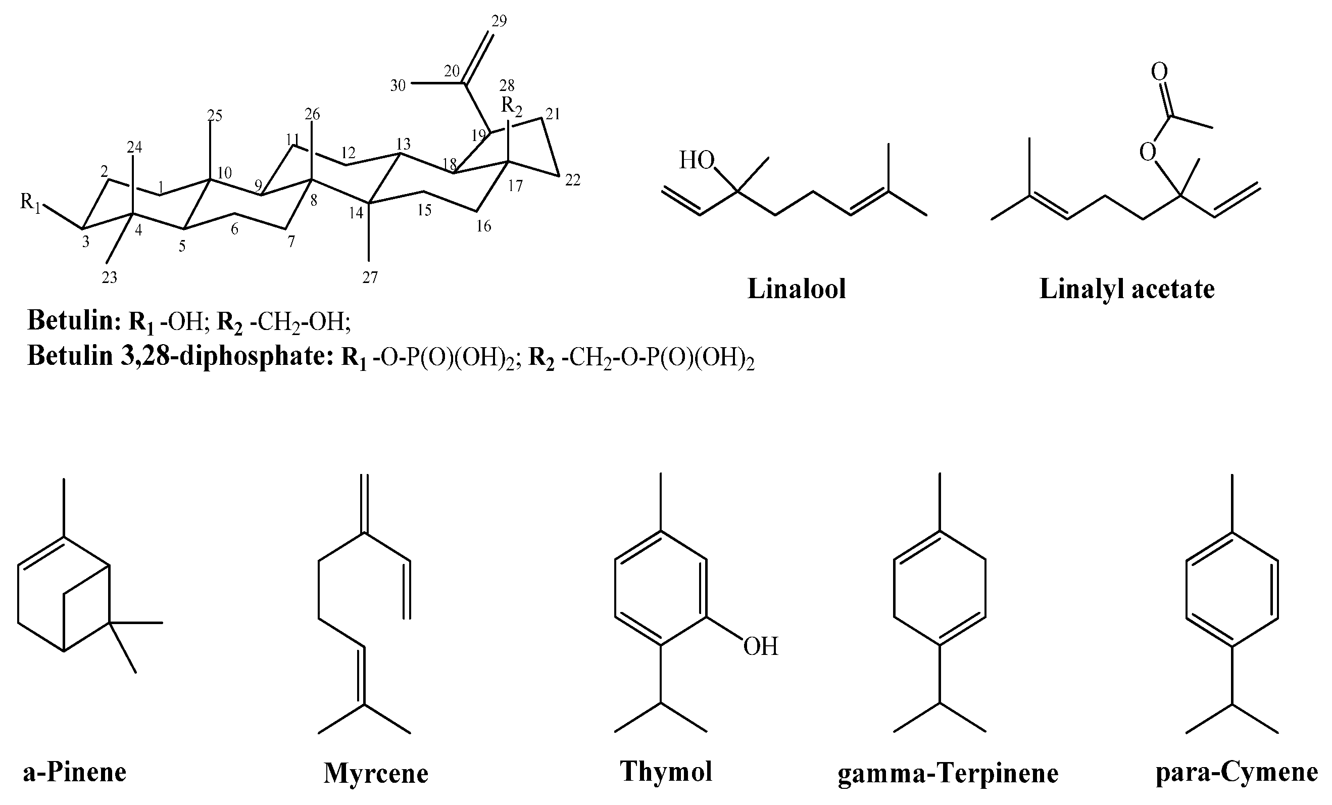 Pharmaceuticals 14 00492 g001
