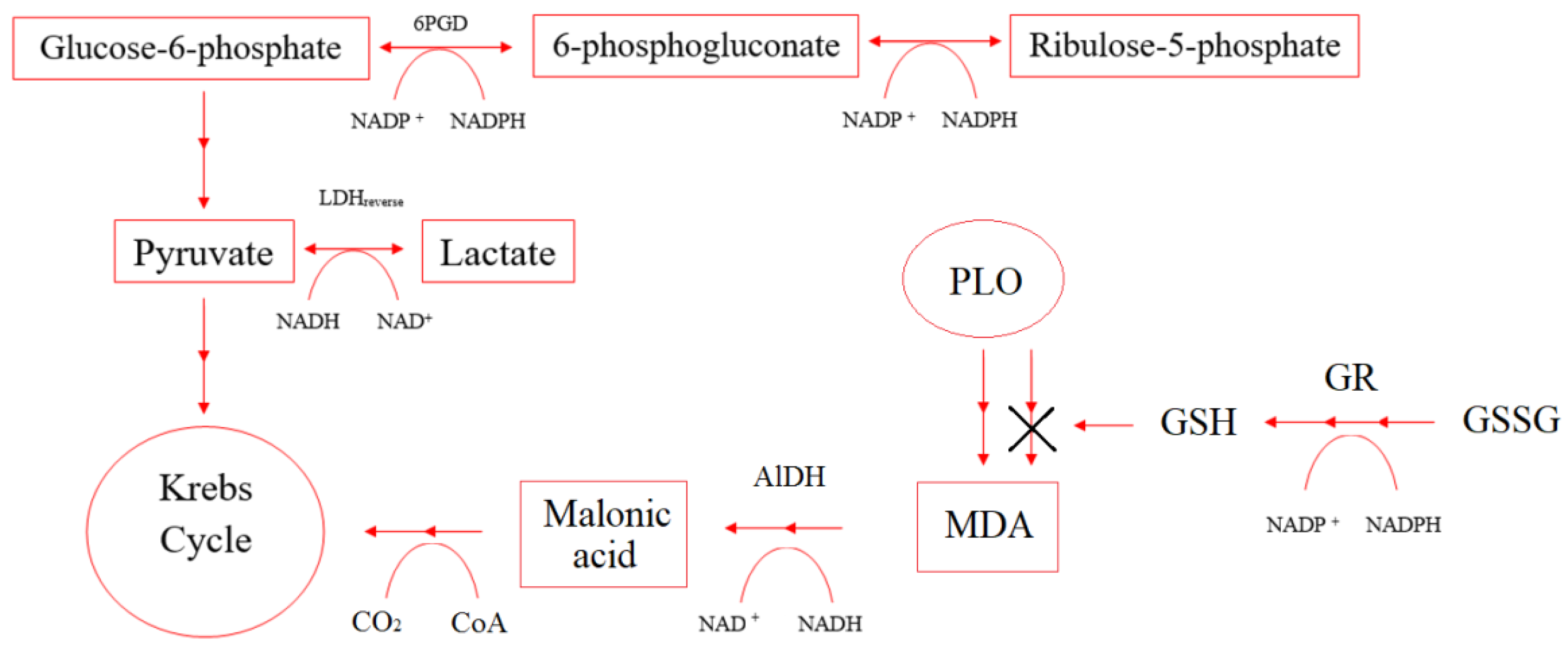 Pharmaceuticals 14 00492 g008
