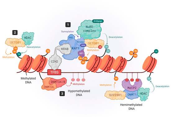Pharmaceuticals 14 00495 g001