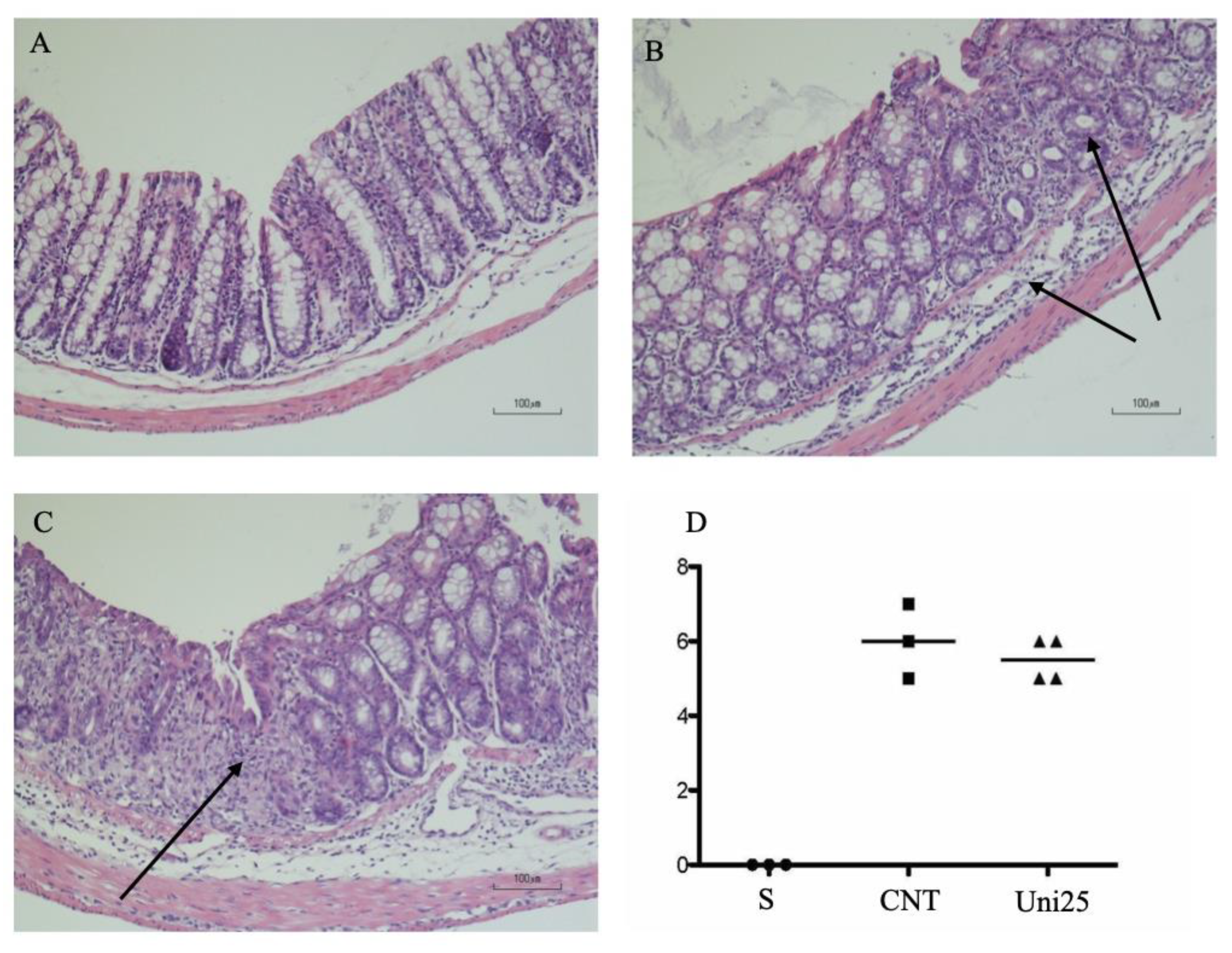 Pharmaceuticals 14 00502 g003 Pharmaceuticals 14 00502 g003