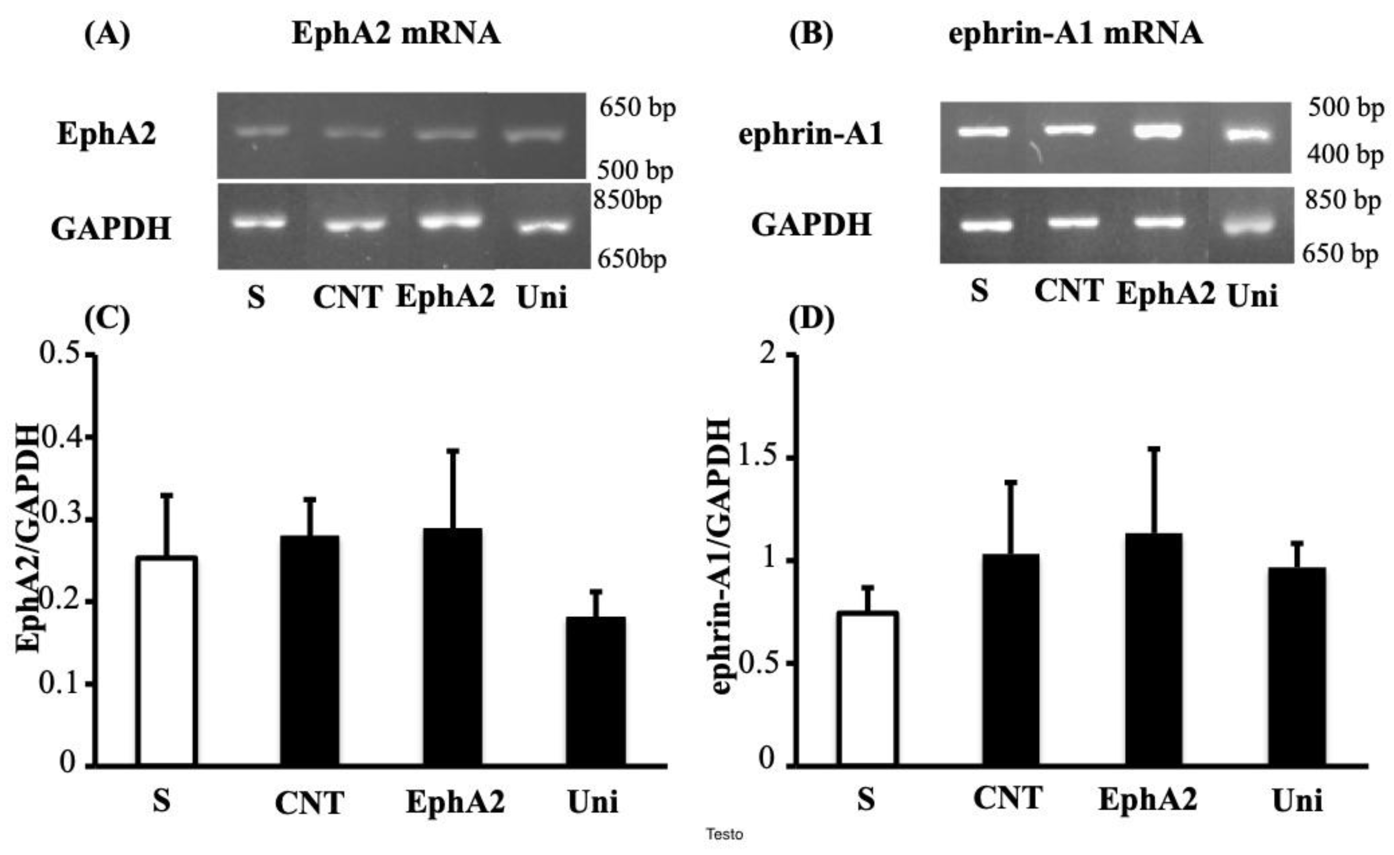 Pharmaceuticals 14 00502 g005 Pharmaceuticals 14 00502 g005