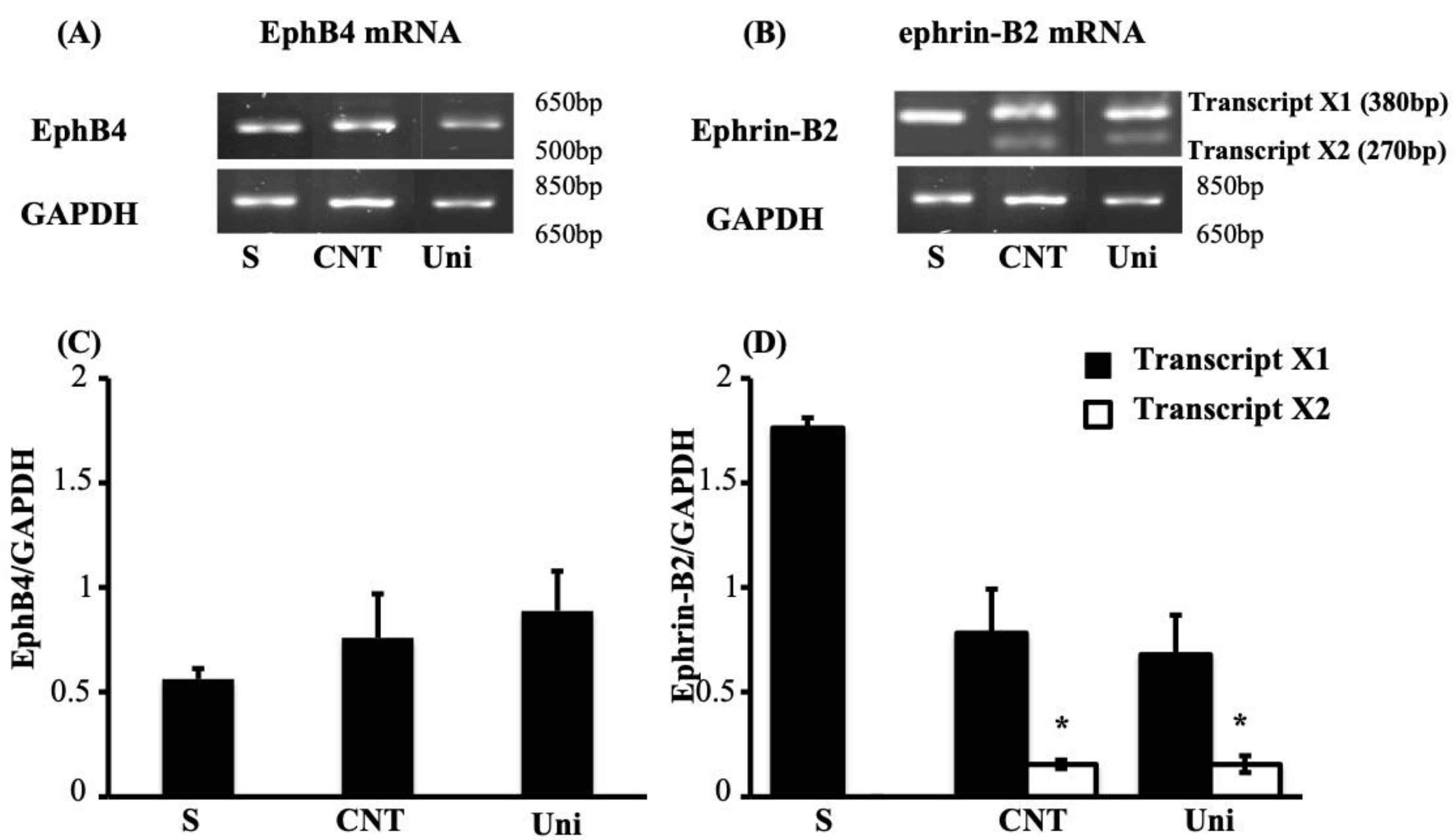 Pharmaceuticals 14 00502 g006 Pharmaceuticals 14 00502 g006