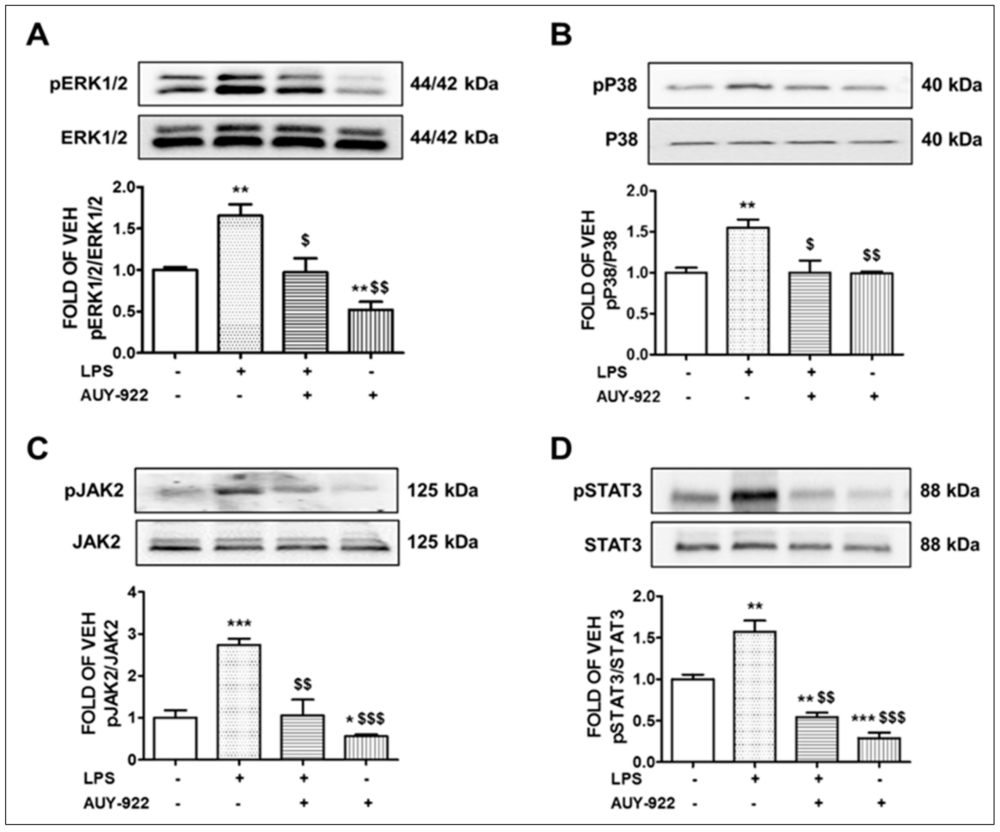 Pharmaceuticals 14 00522 g001