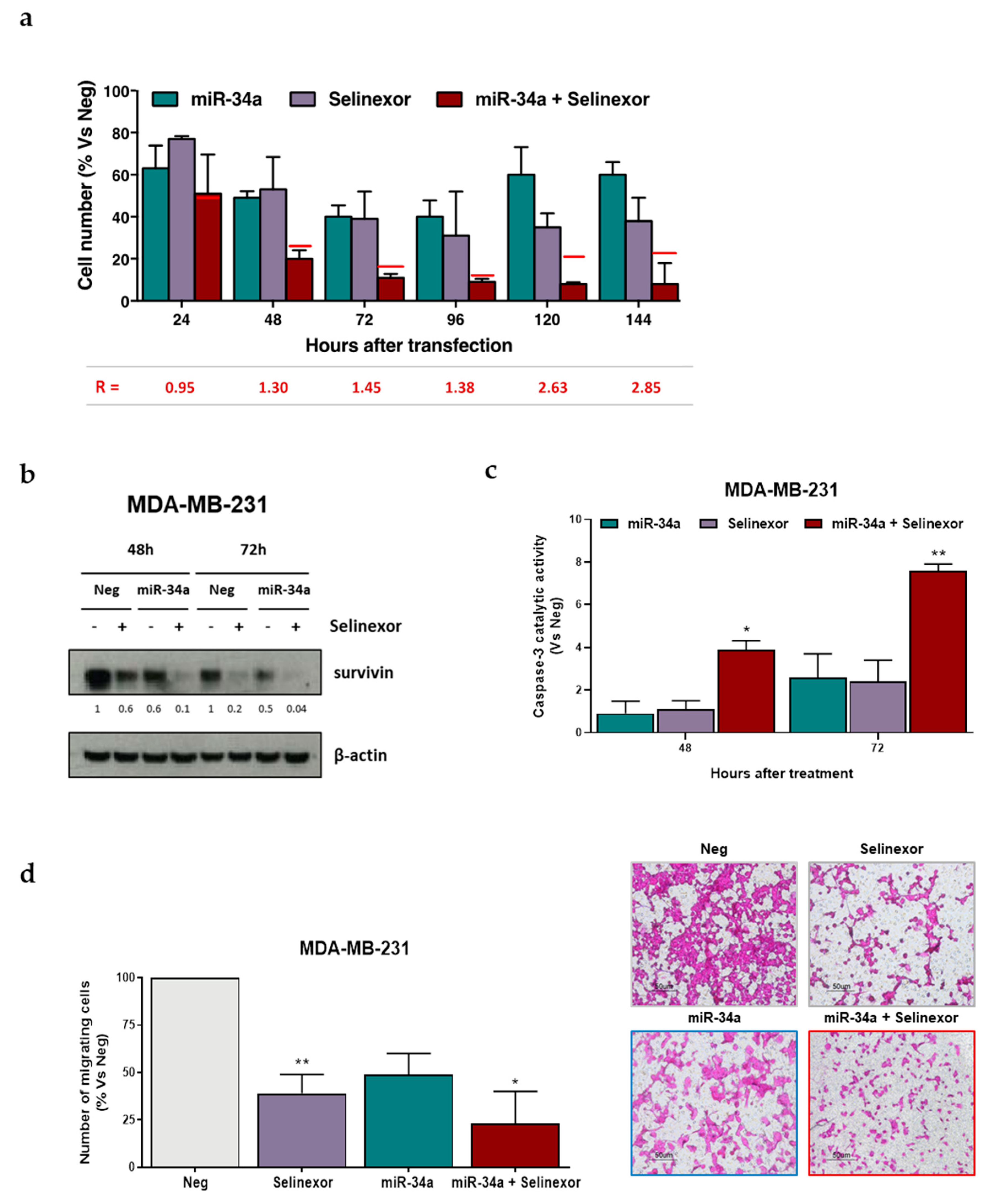 Pharmaceuticals 14 00523 g005