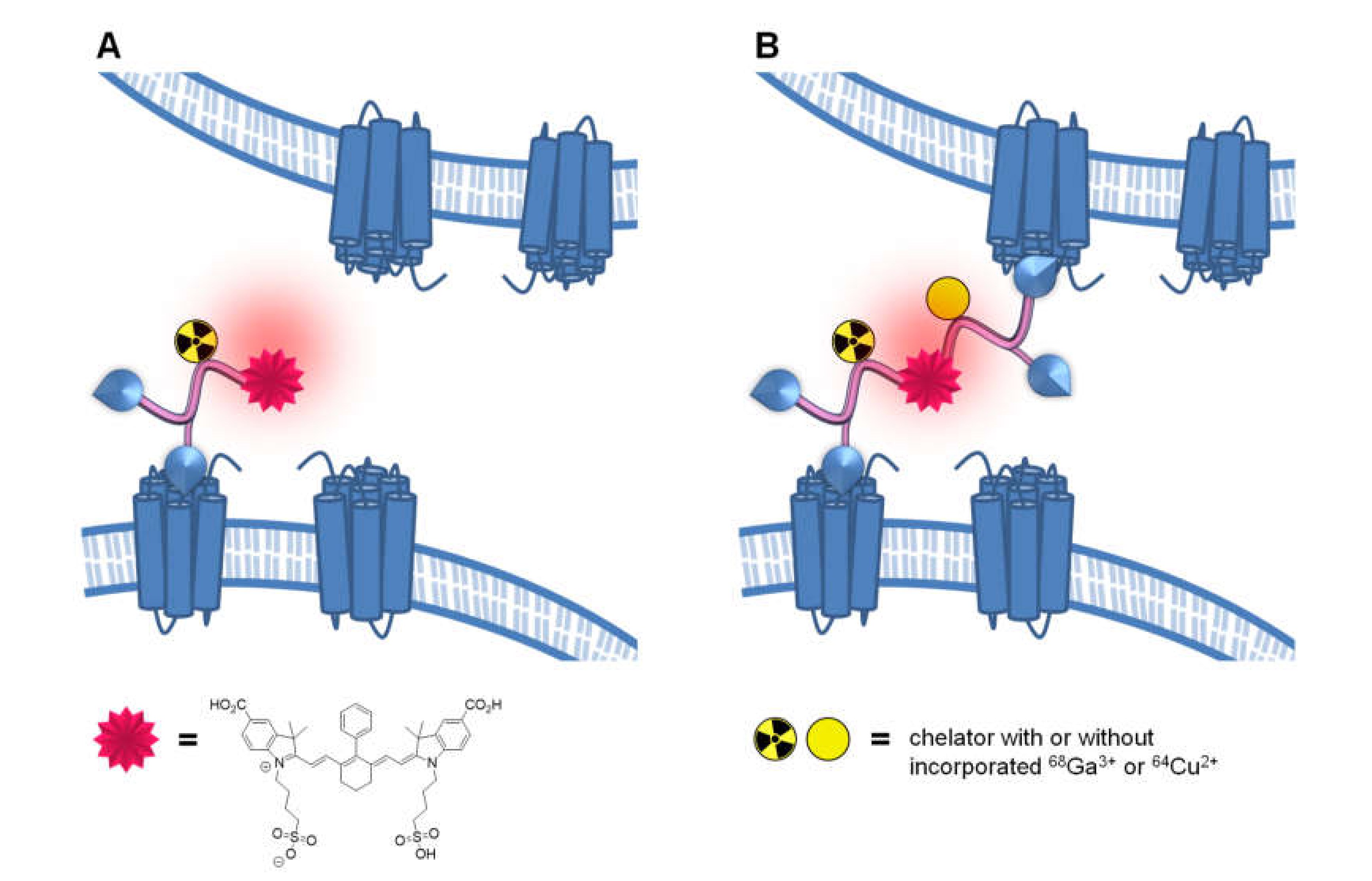 Pharmaceuticals 14 00531 g001