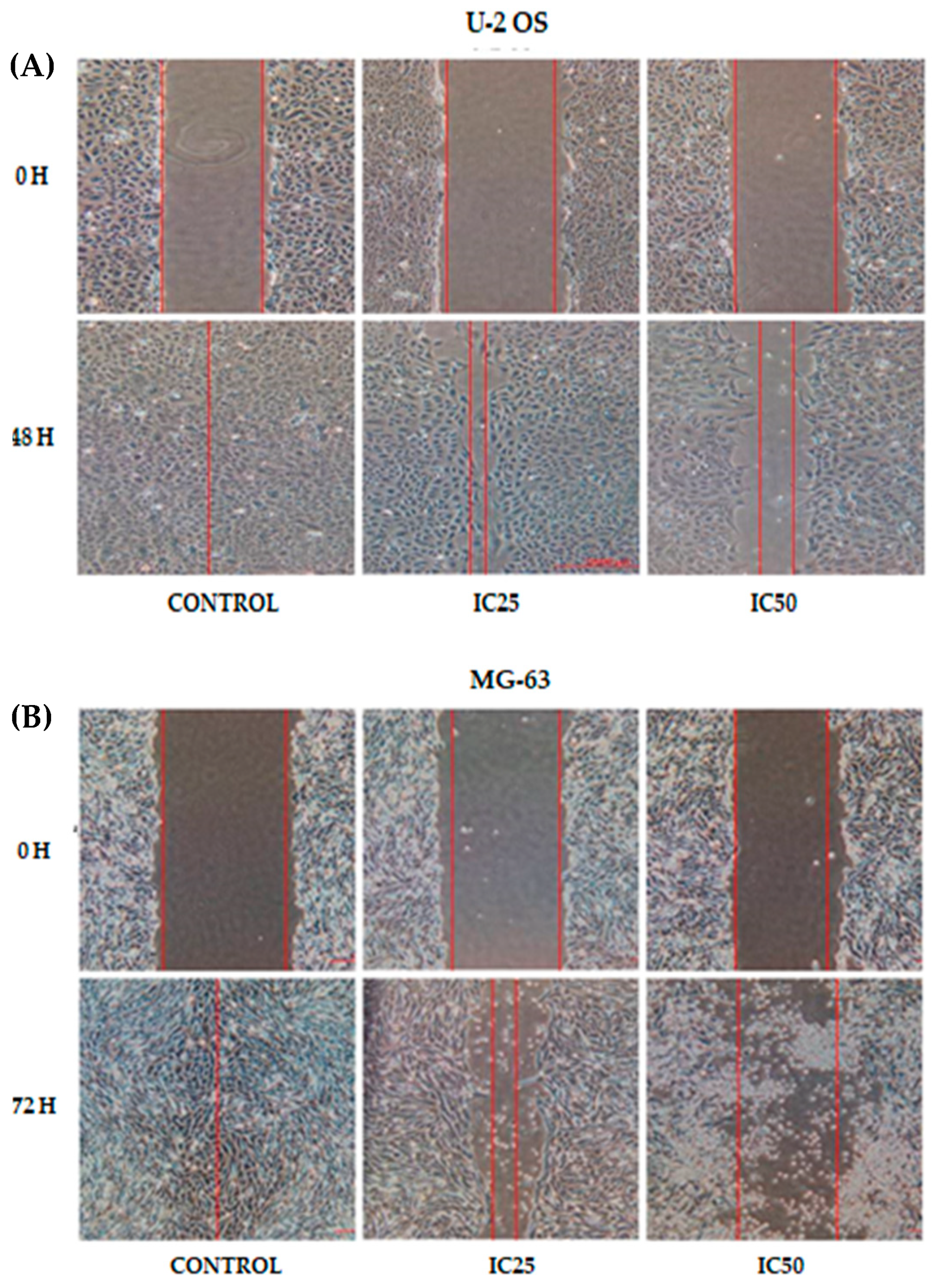 Pharmaceuticals 14 00532 g001a