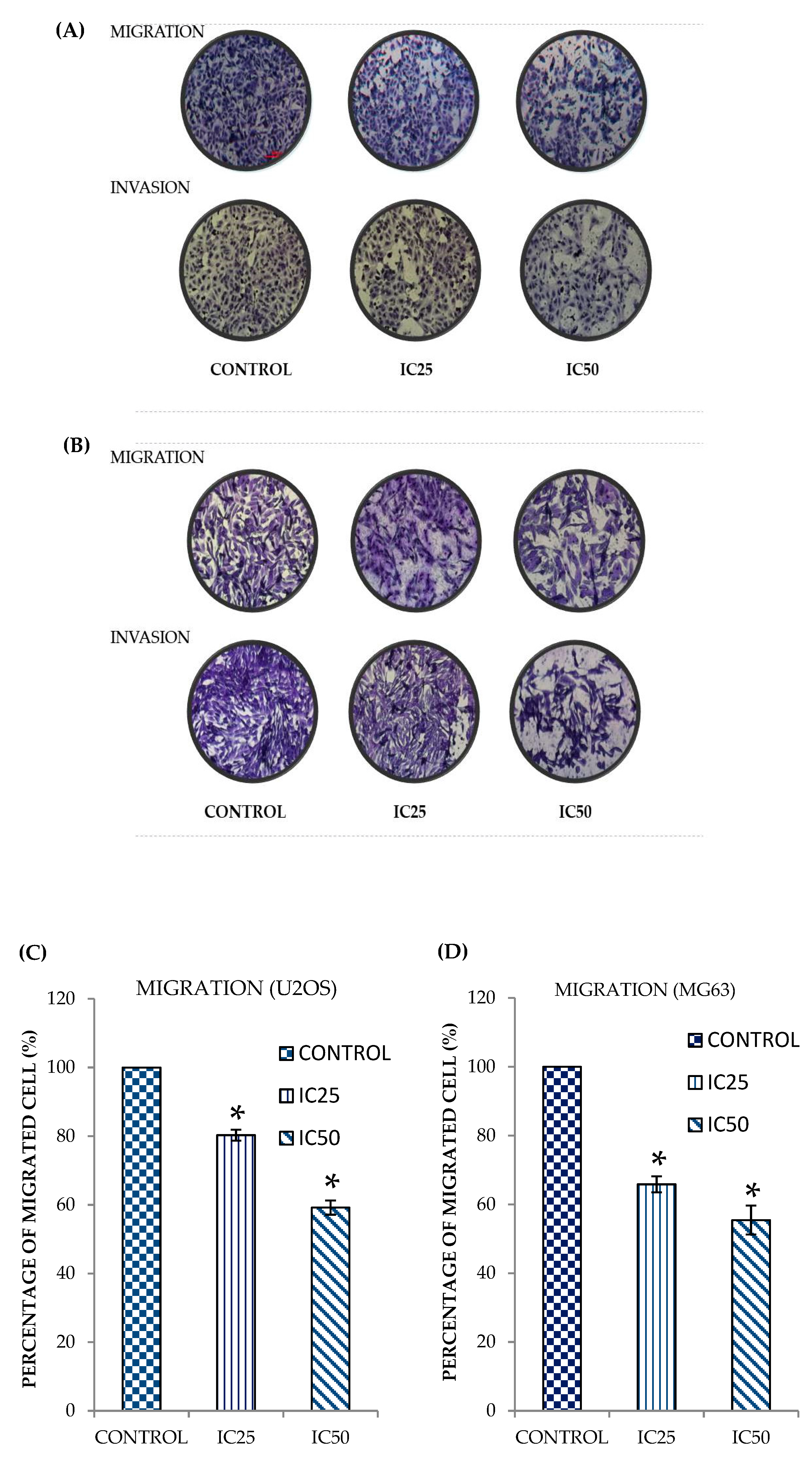 Pharmaceuticals 14 00532 g002a