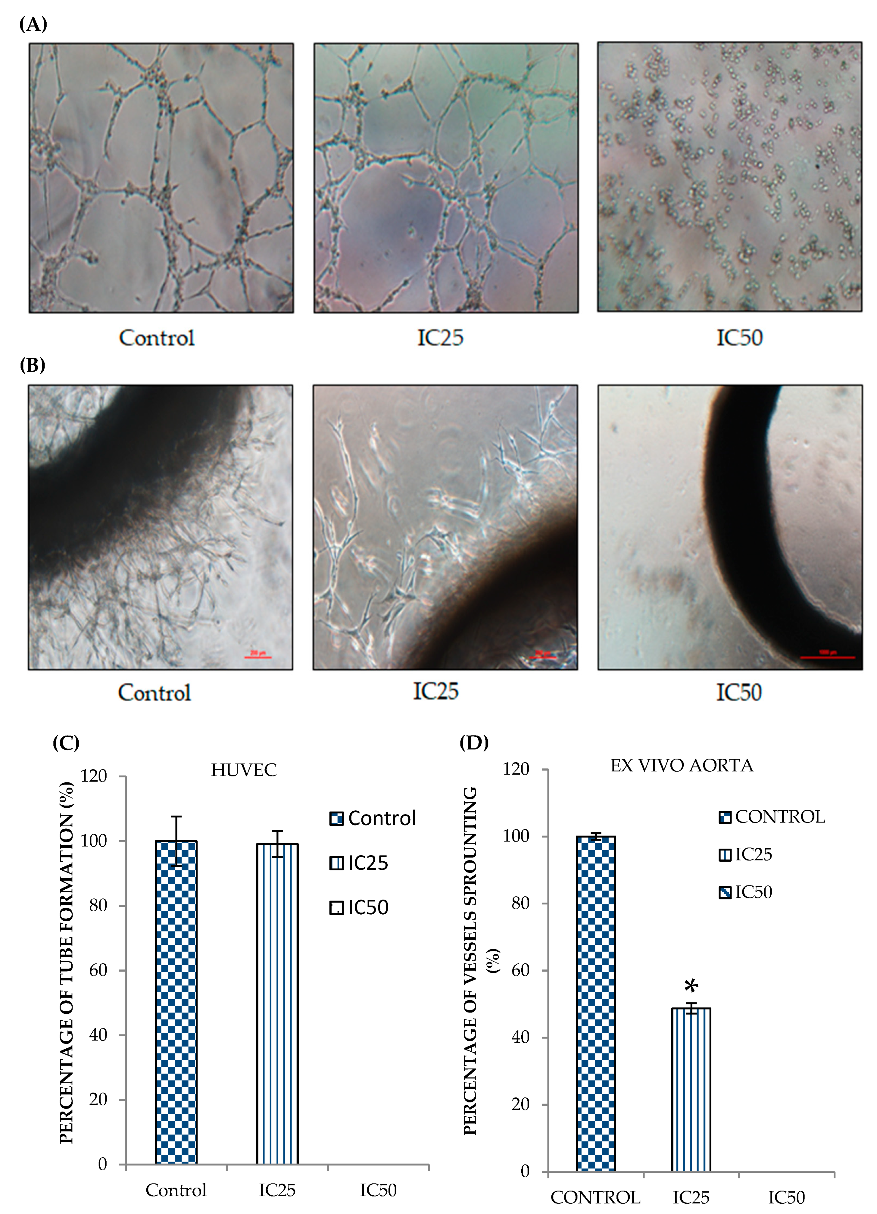 Pharmaceuticals 14 00532 g003