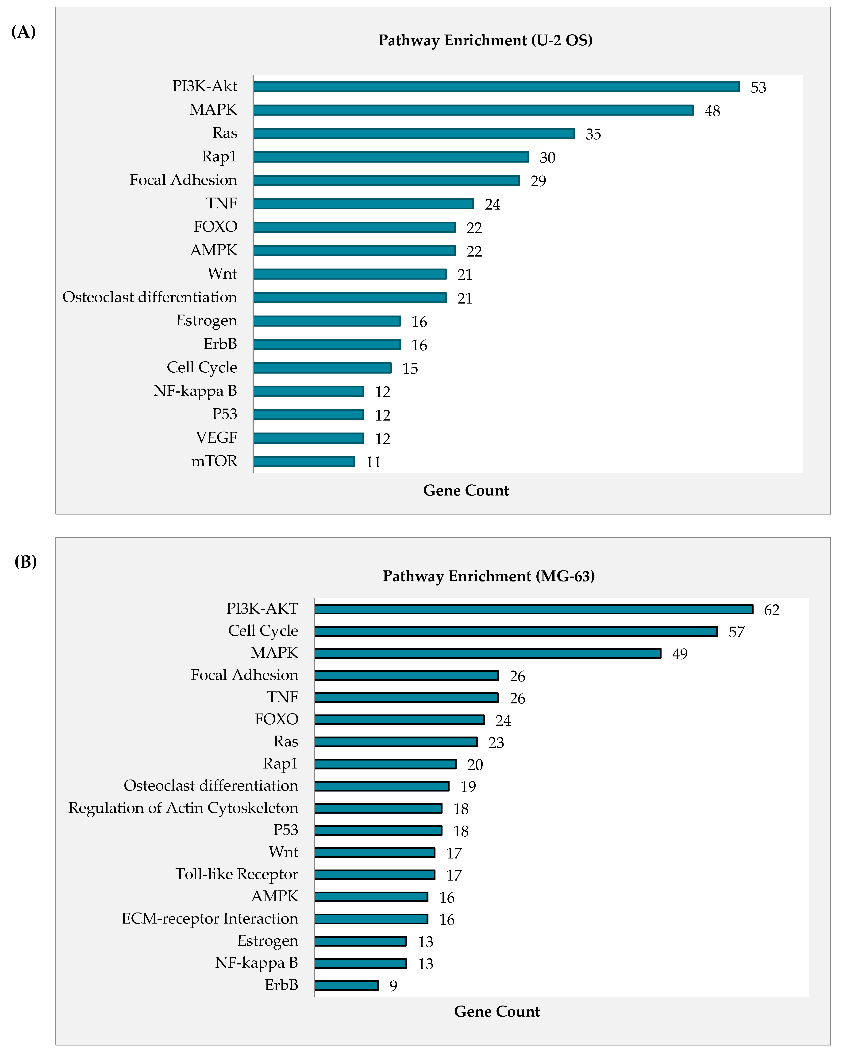 Pharmaceuticals 14 00532 g005