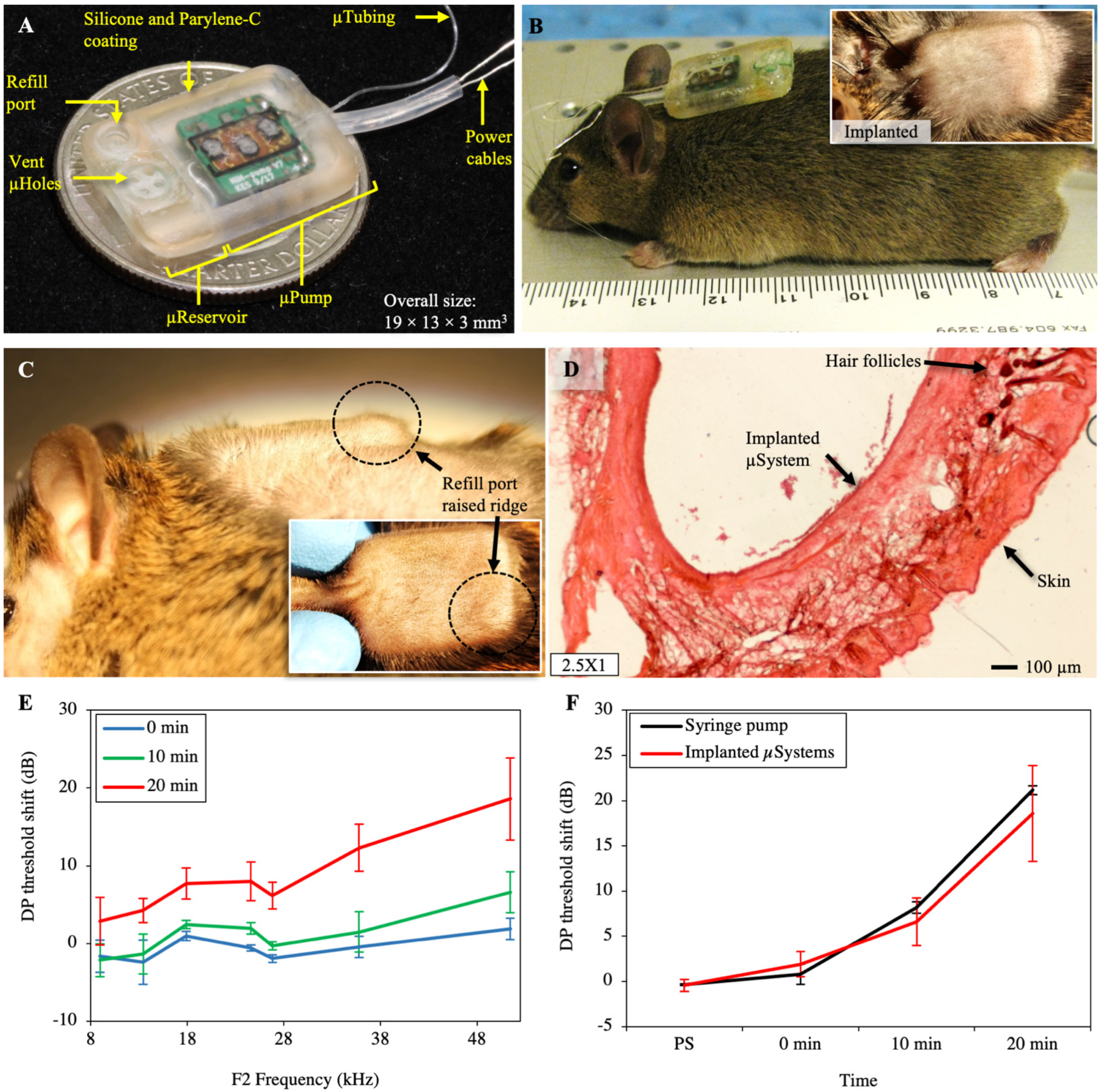 Pharmaceuticals 14 00538 g003 Pharmaceuticals 14 00538 g003