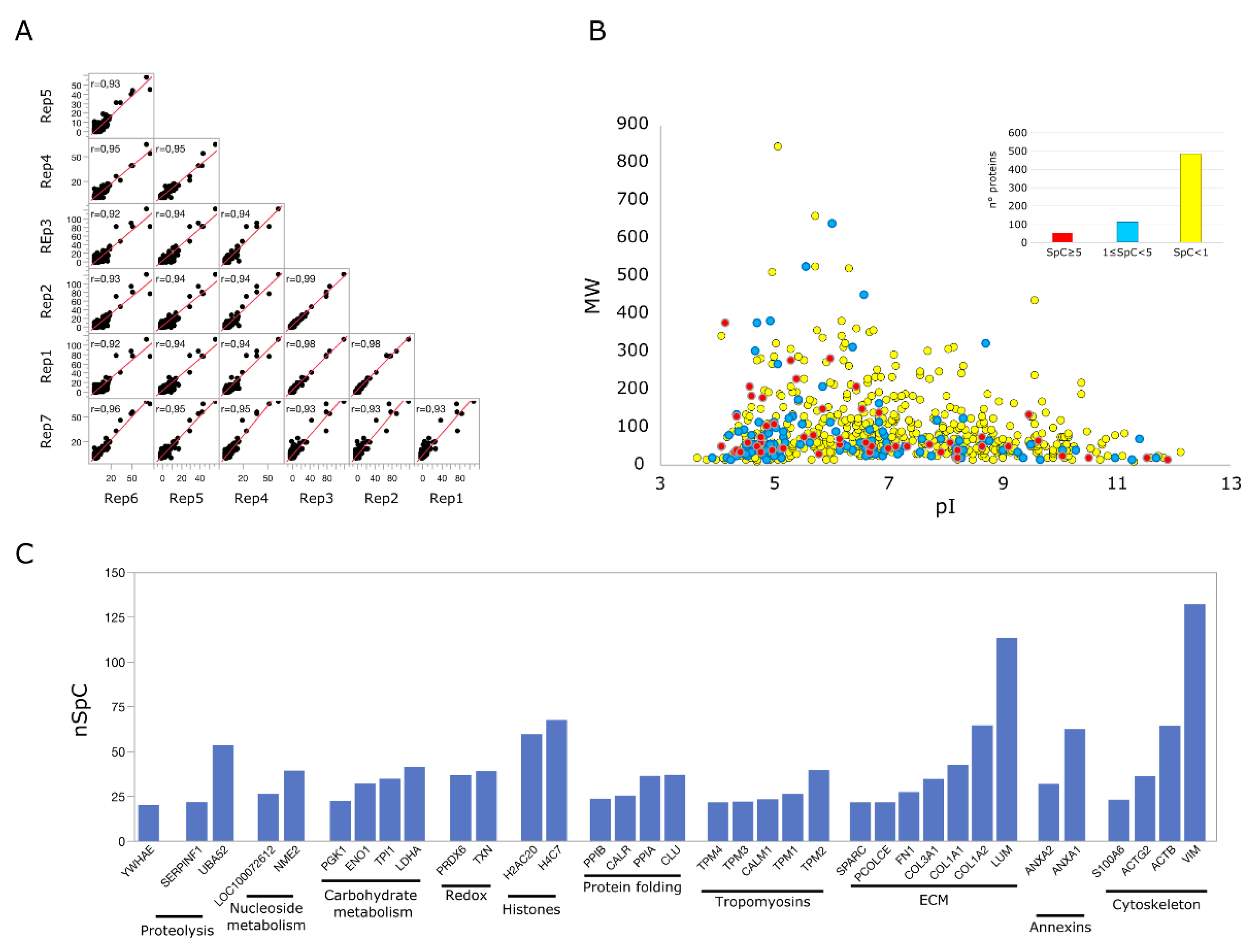 Pharmaceuticals 14 00553 g008