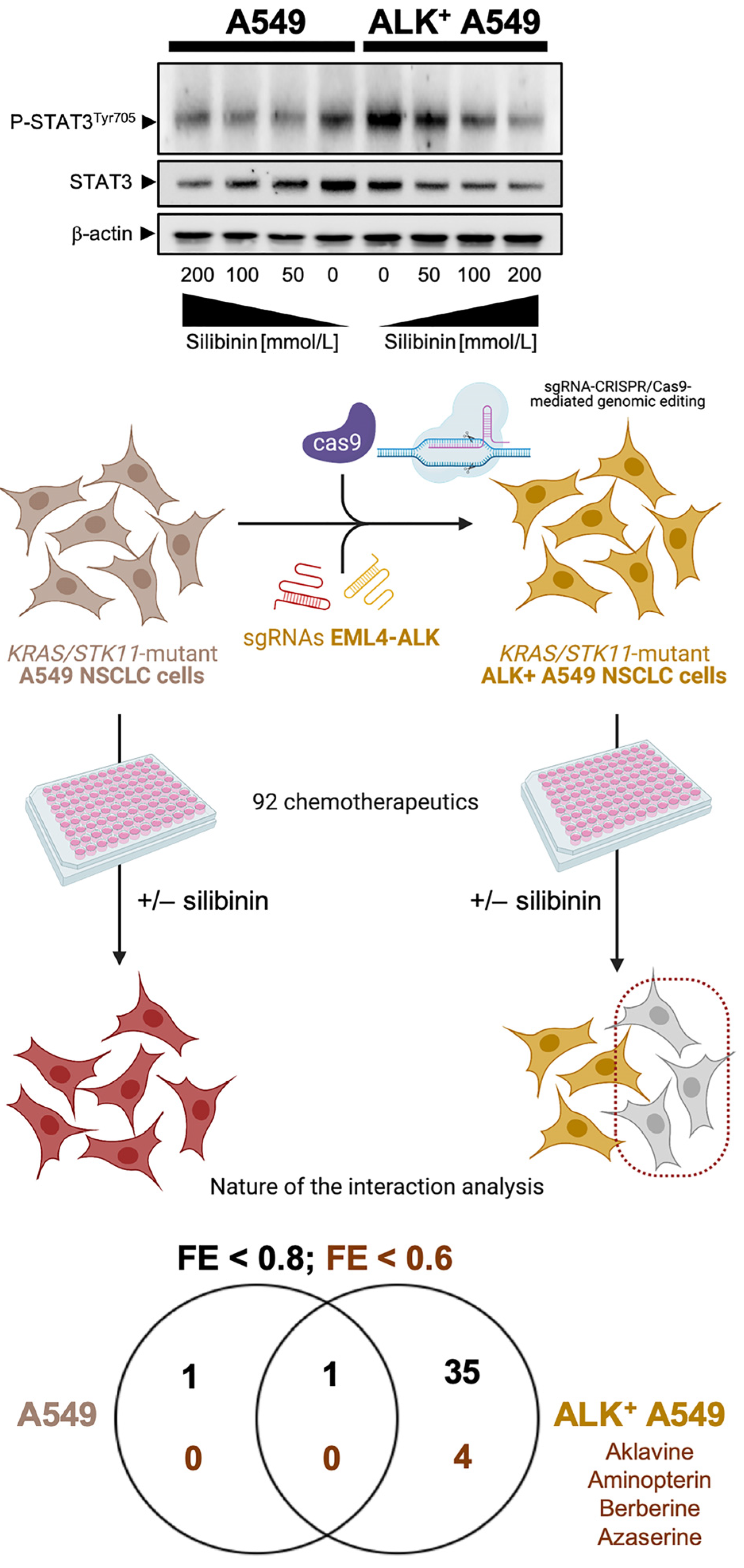 Pharmaceuticals 14 00559 g002