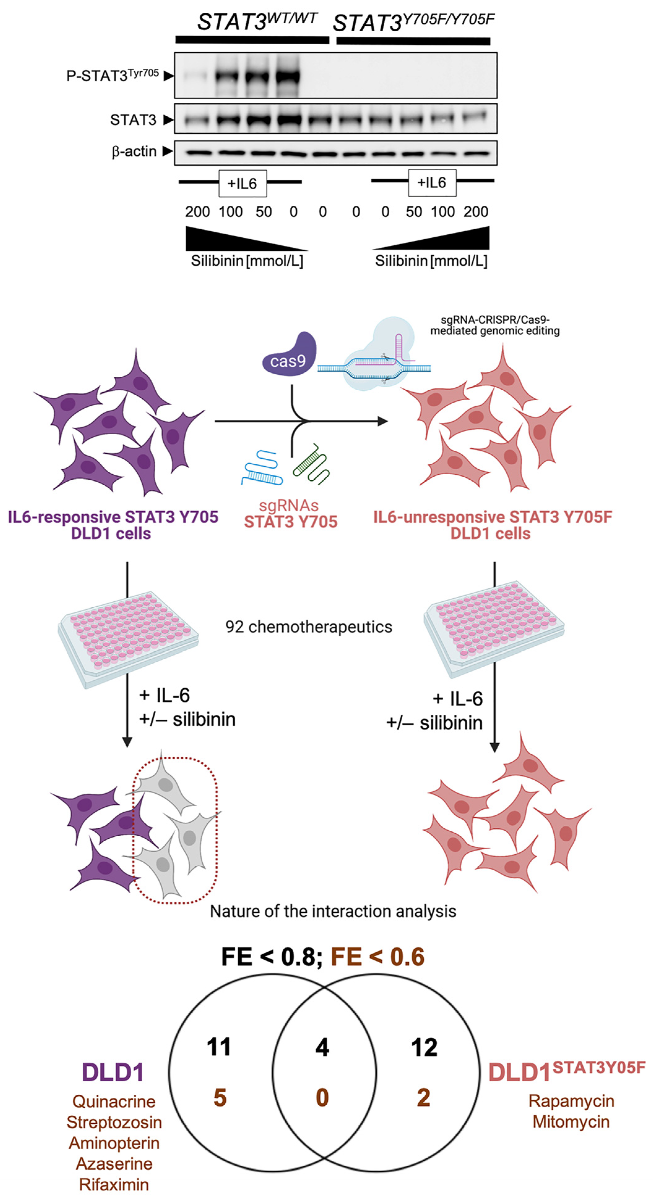 Pharmaceuticals 14 00559 g004