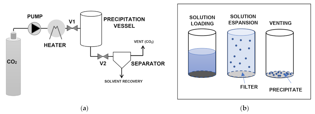 Pharmaceuticals 14 00562 g003 Pharmaceuticals 14 00562 g003
