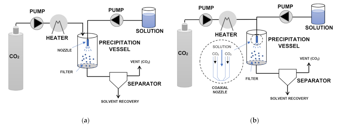 Pharmaceuticals 14 00562 g004 Pharmaceuticals 14 00562 g004