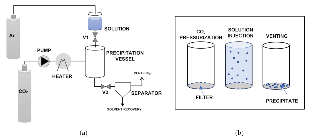 Pharmaceuticals 14 00562 g005 Pharmaceuticals 14 00562 g005