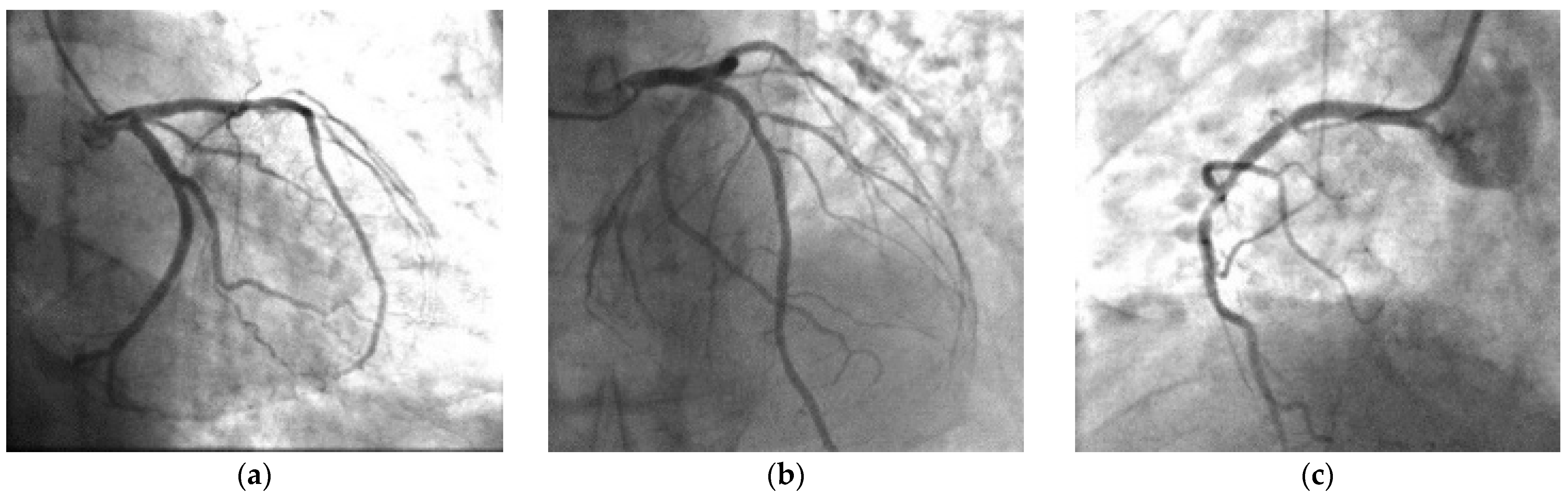 Pharmaceuticals 14 00563 g002 Pharmaceuticals 14 00563 g002