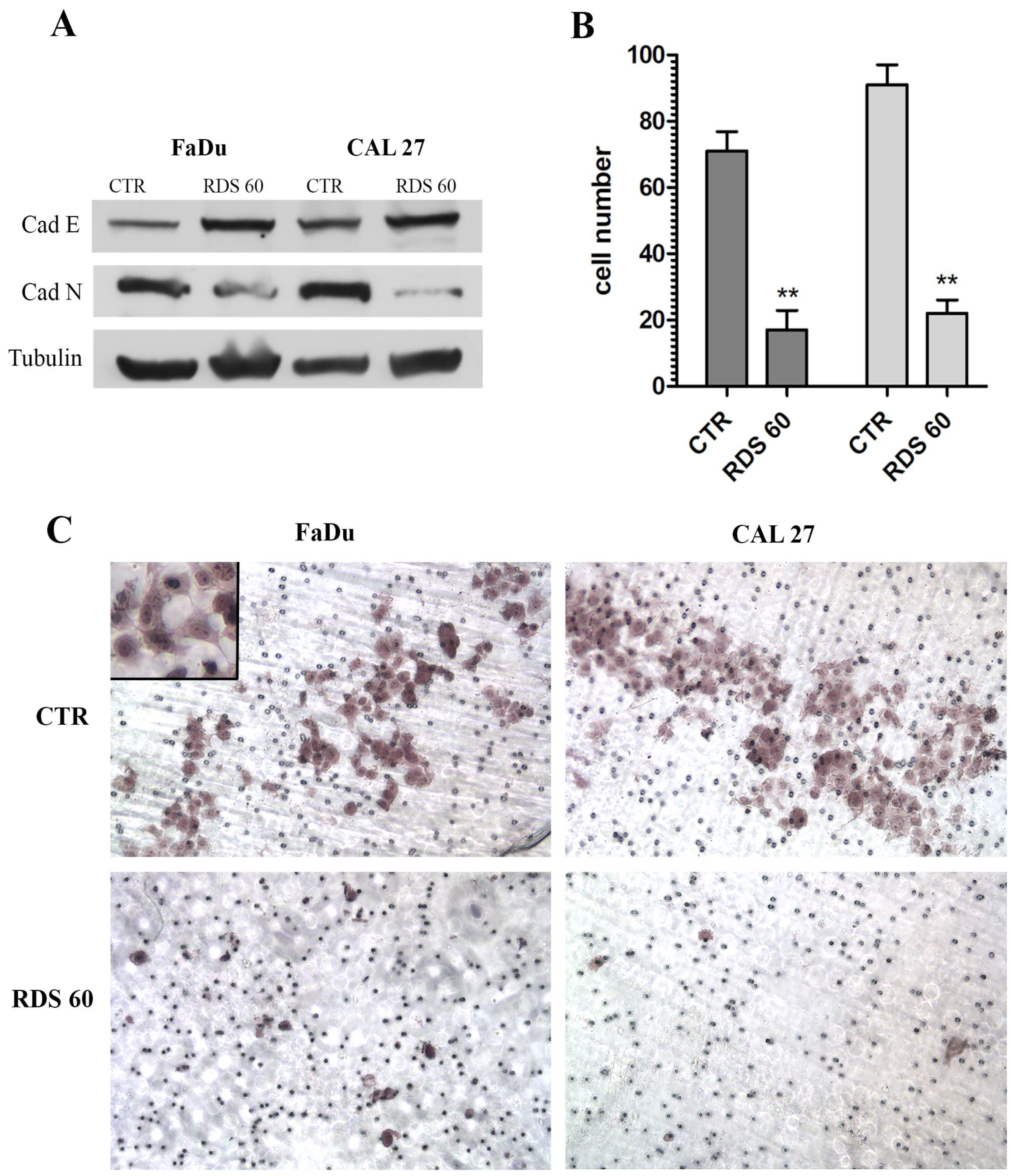 Pharmaceuticals 14 00564 g005