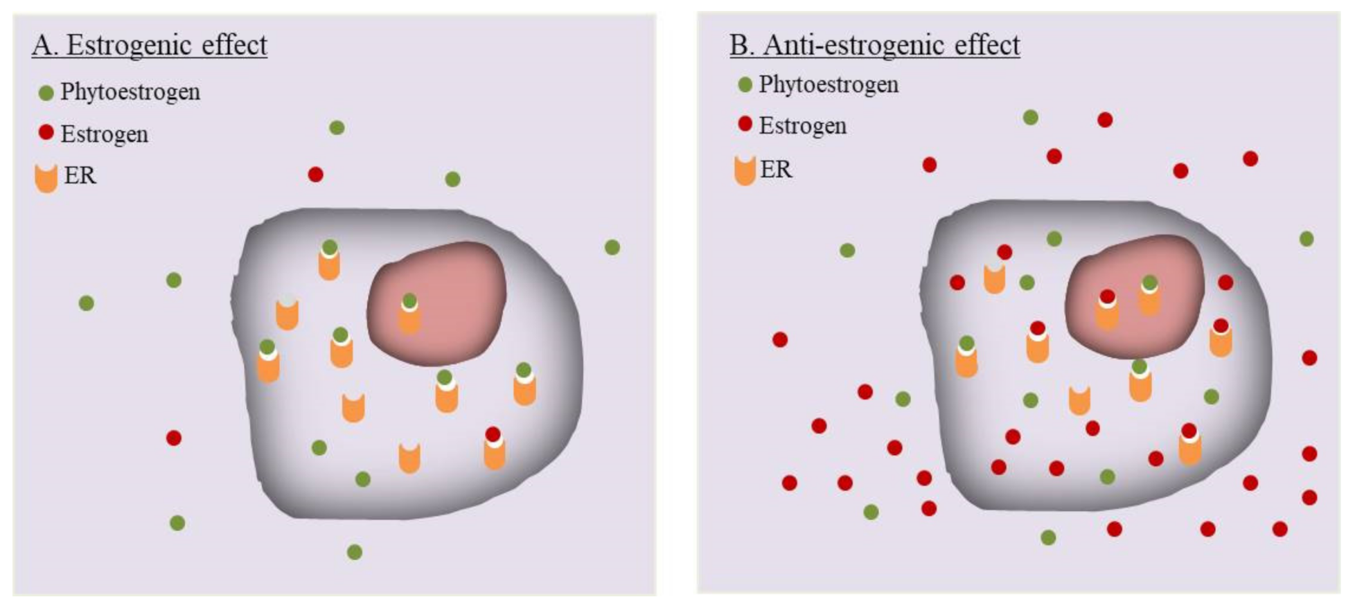 Pharmaceuticals 14 00569 g001