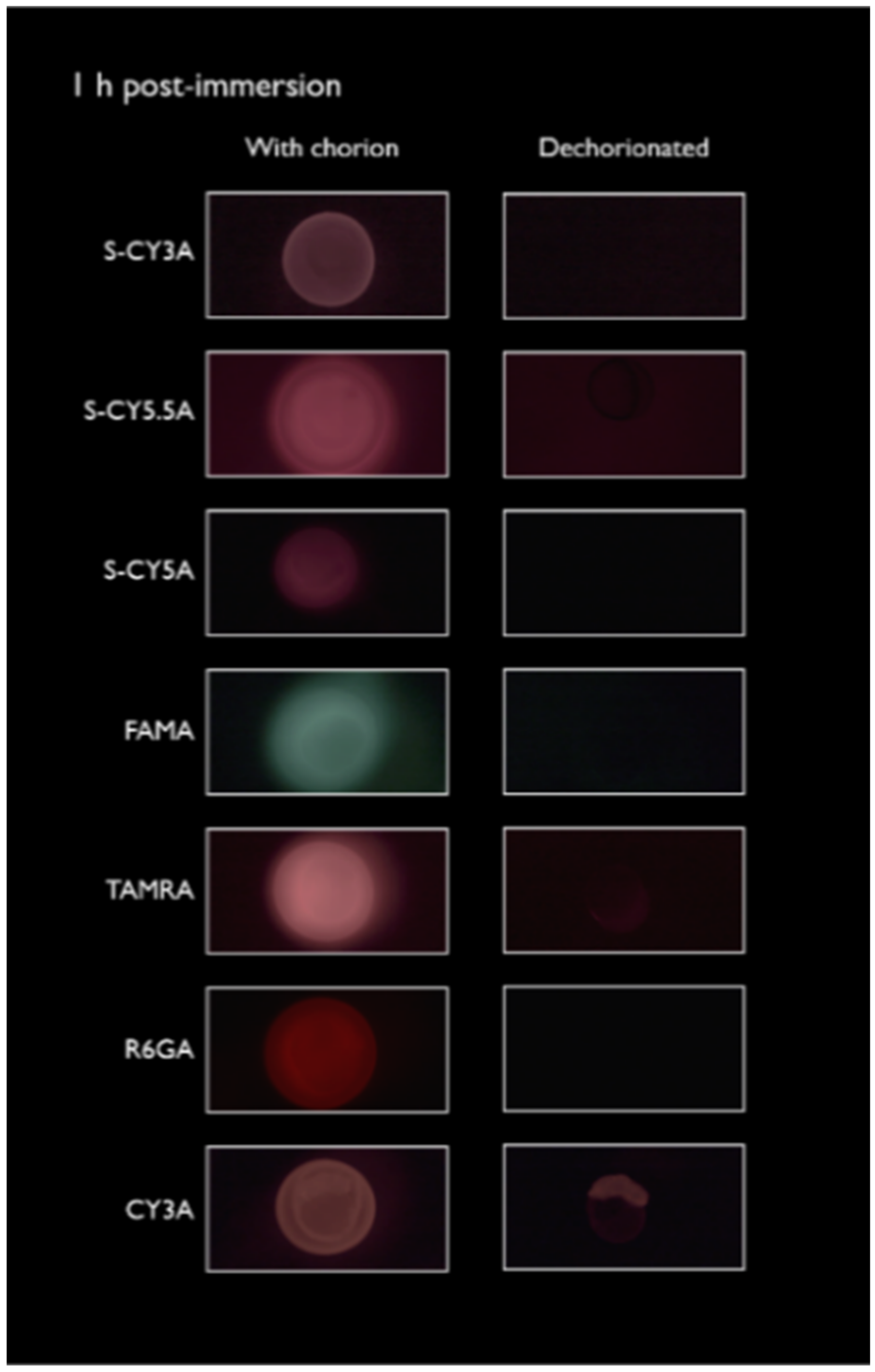 Pharmaceuticals 14 00576 g001