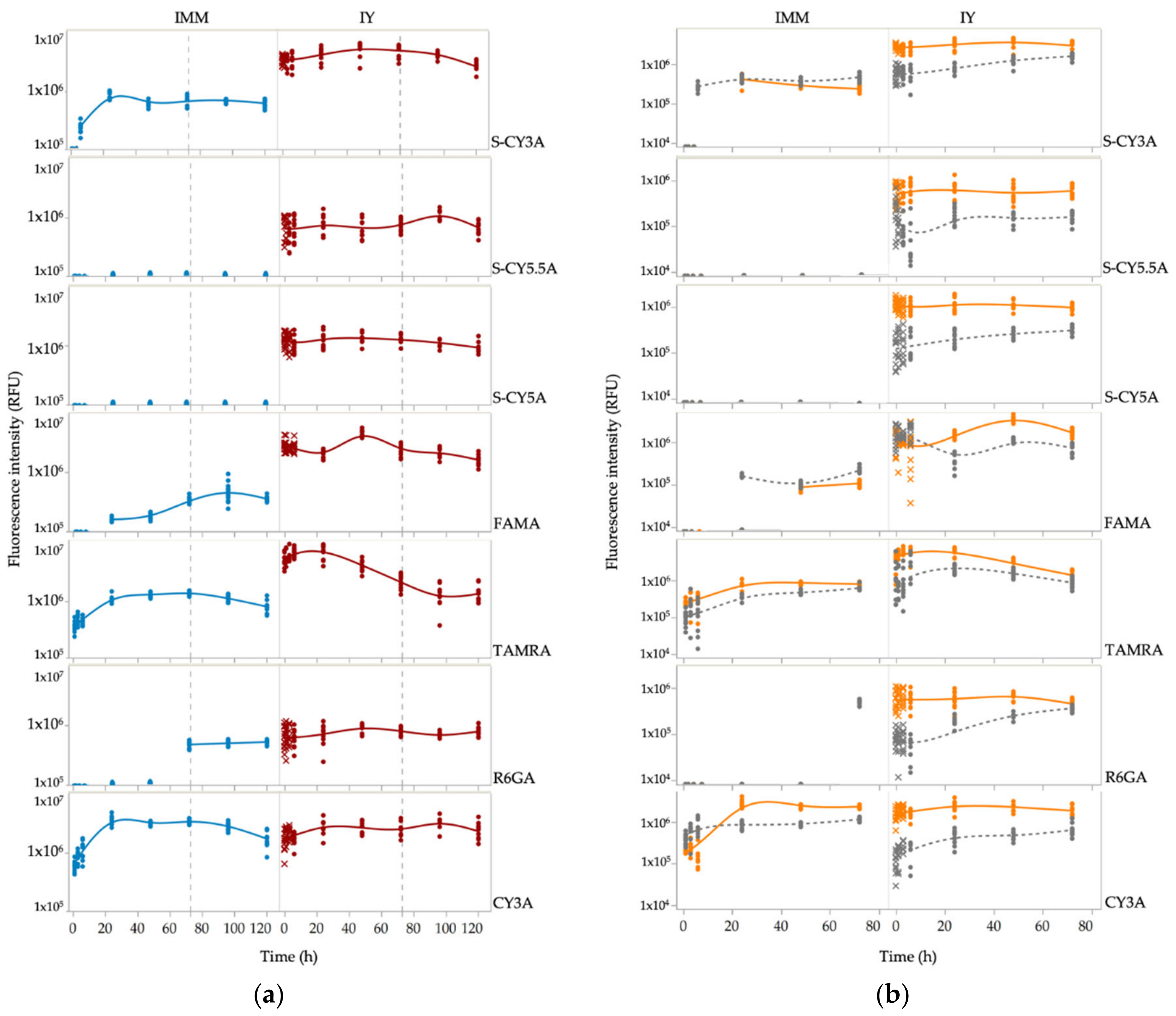 Pharmaceuticals 14 00576 g003