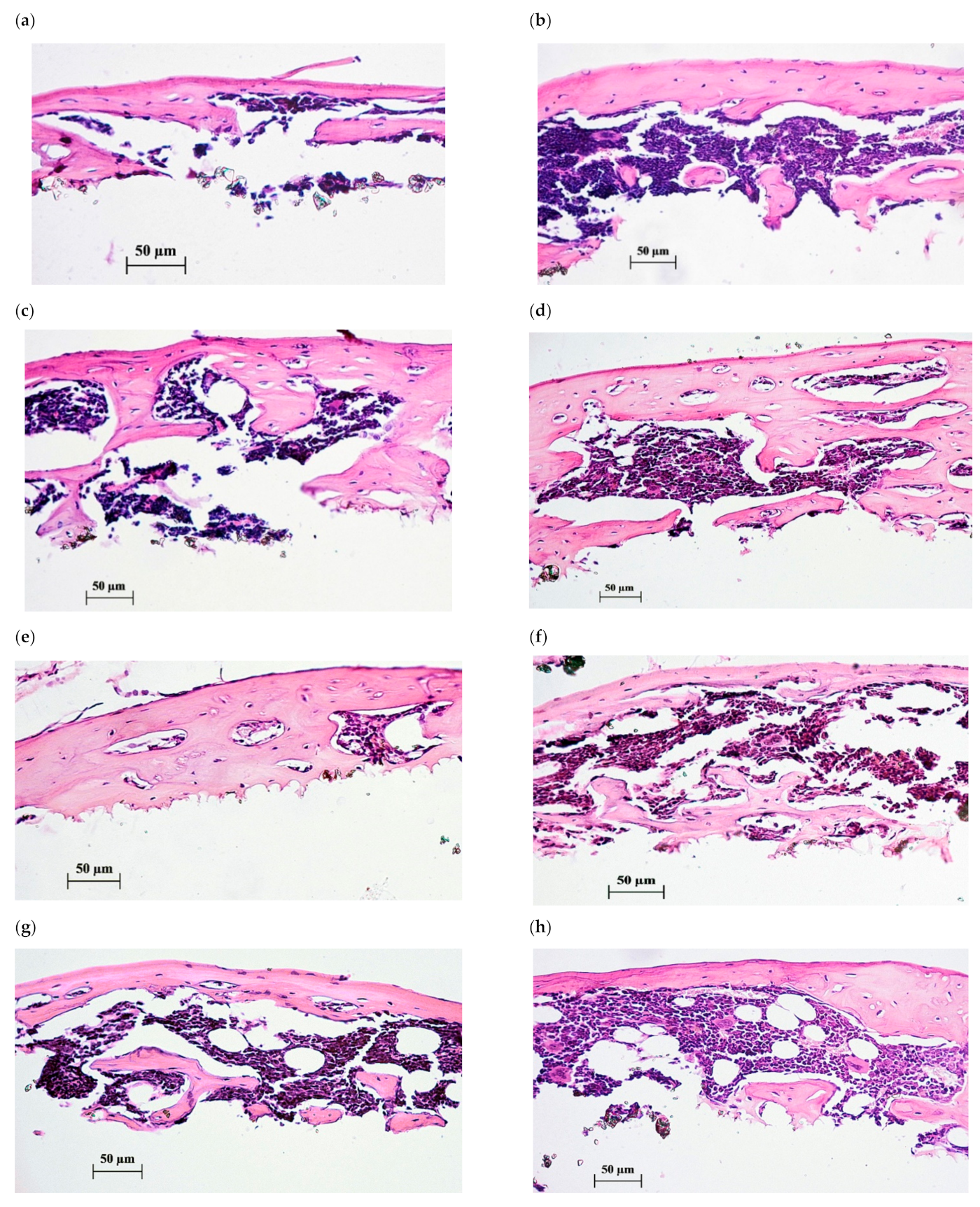 Pharmaceuticals 14 00579 g004 Pharmaceuticals 14 00579 g004