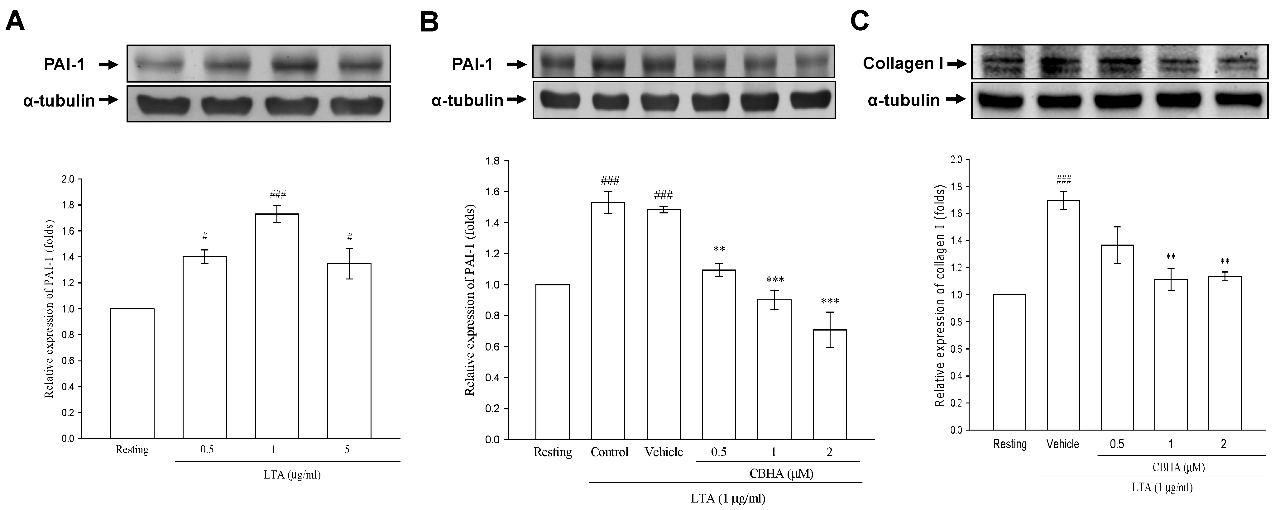 Pharmaceuticals 14 00585 g002