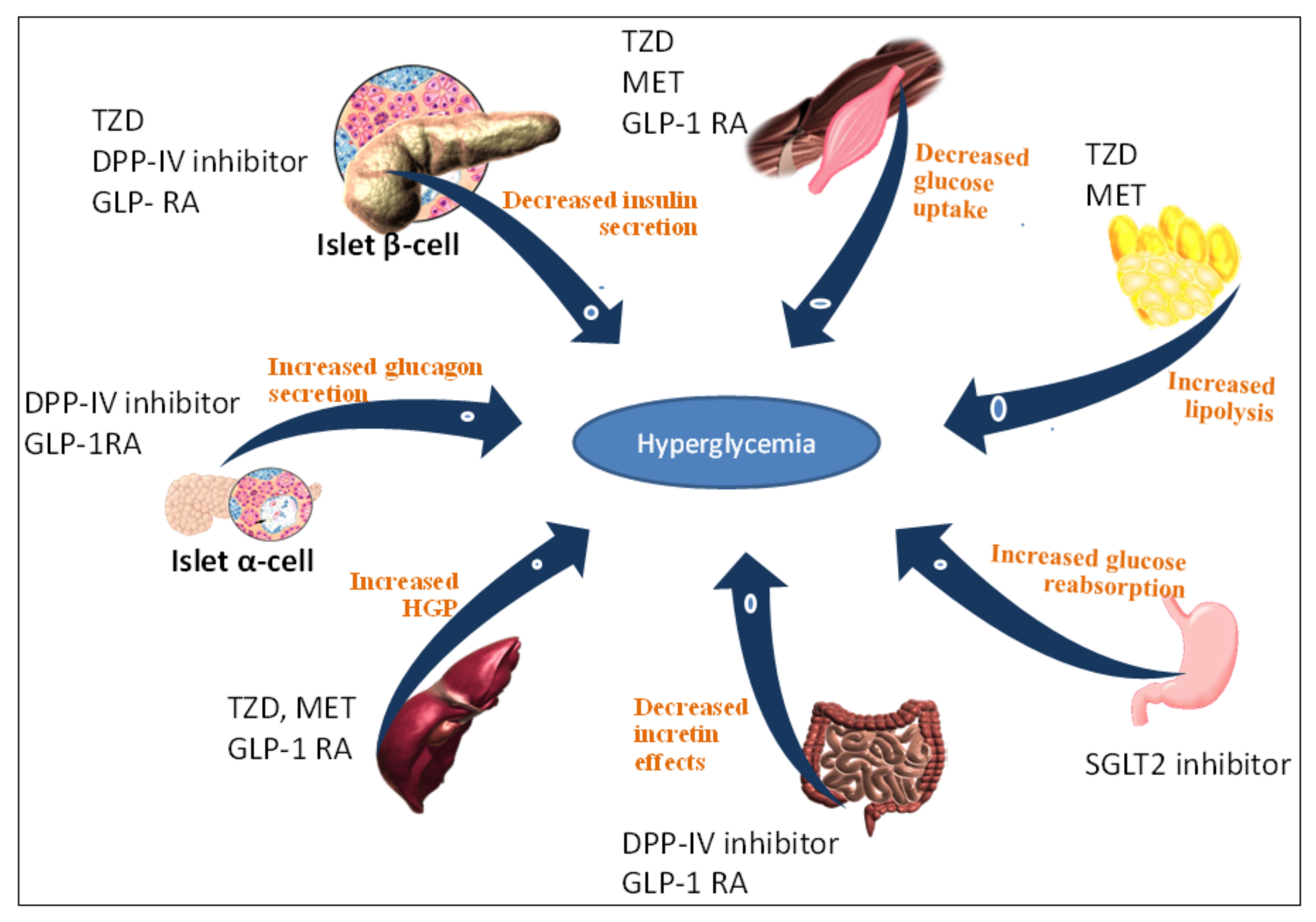 Pharmaceuticals 14 00586 g001