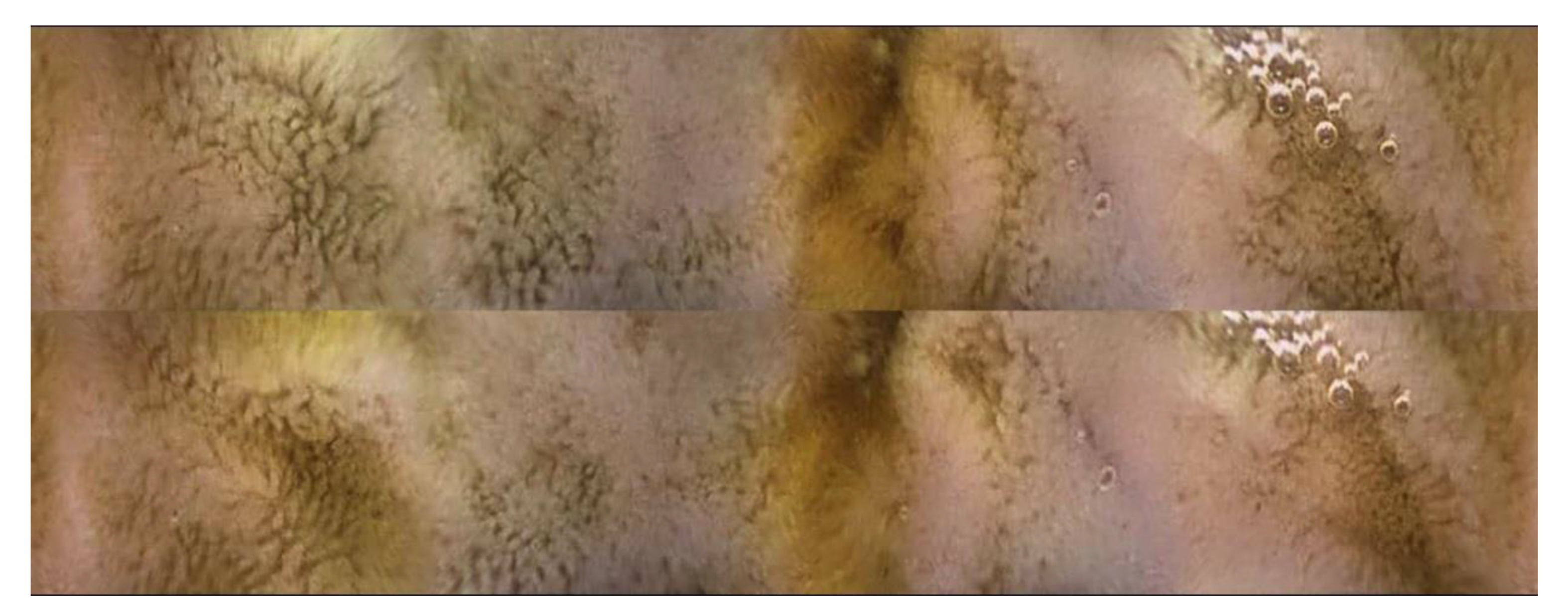 Pharmaceuticals 14 00590 g005