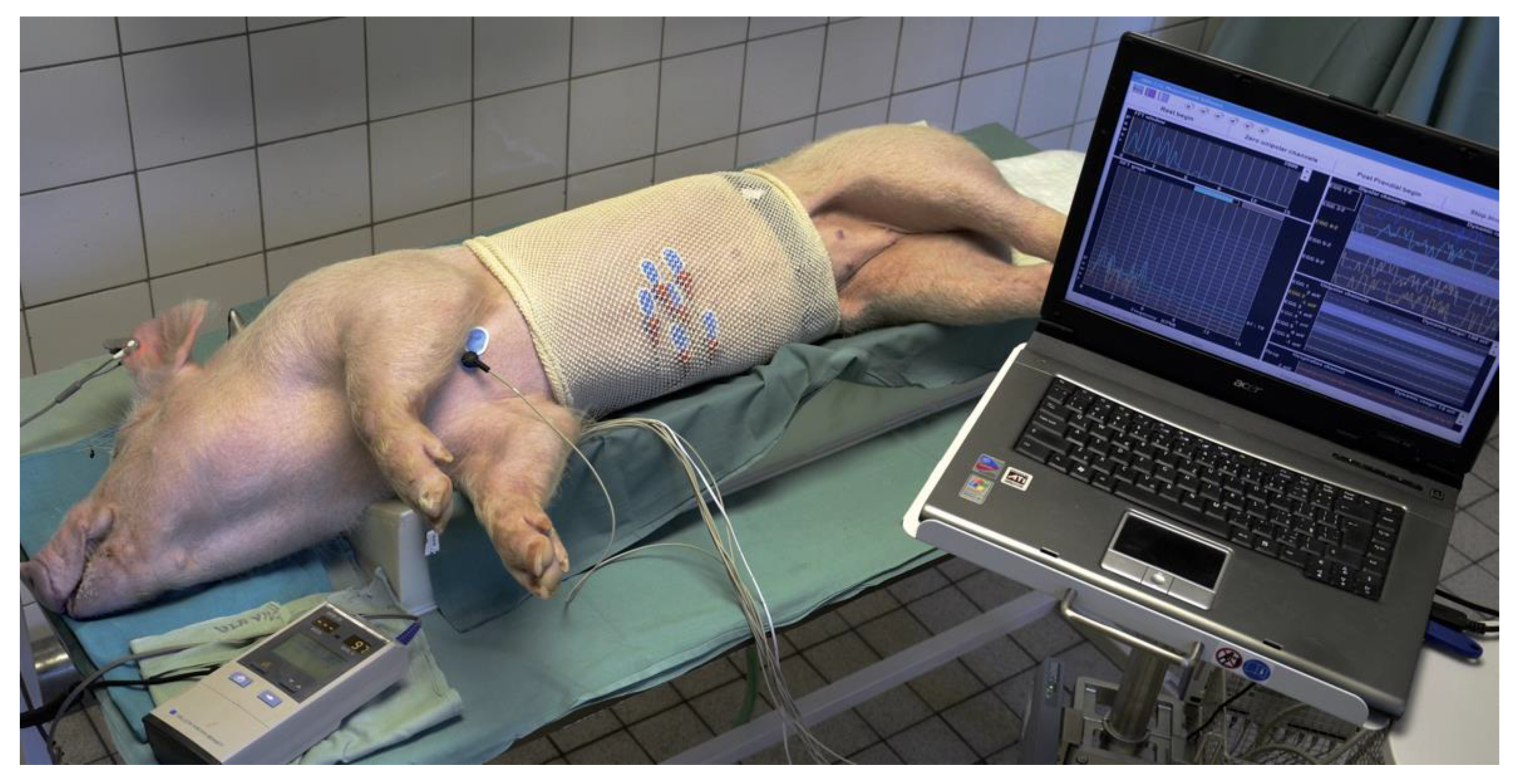 Pharmaceuticals 14 00590 g011