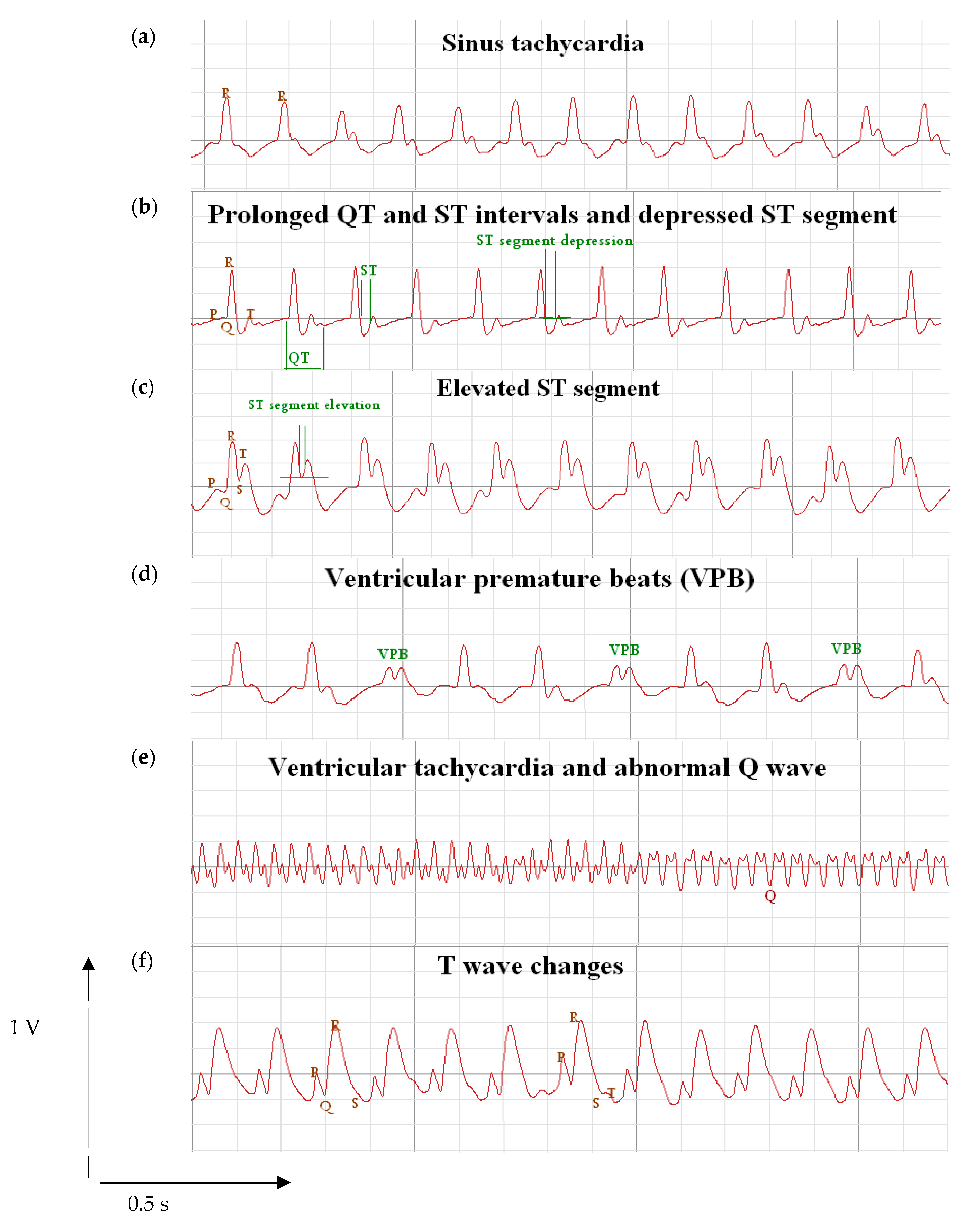 Pharmaceuticals 14 00597 g002