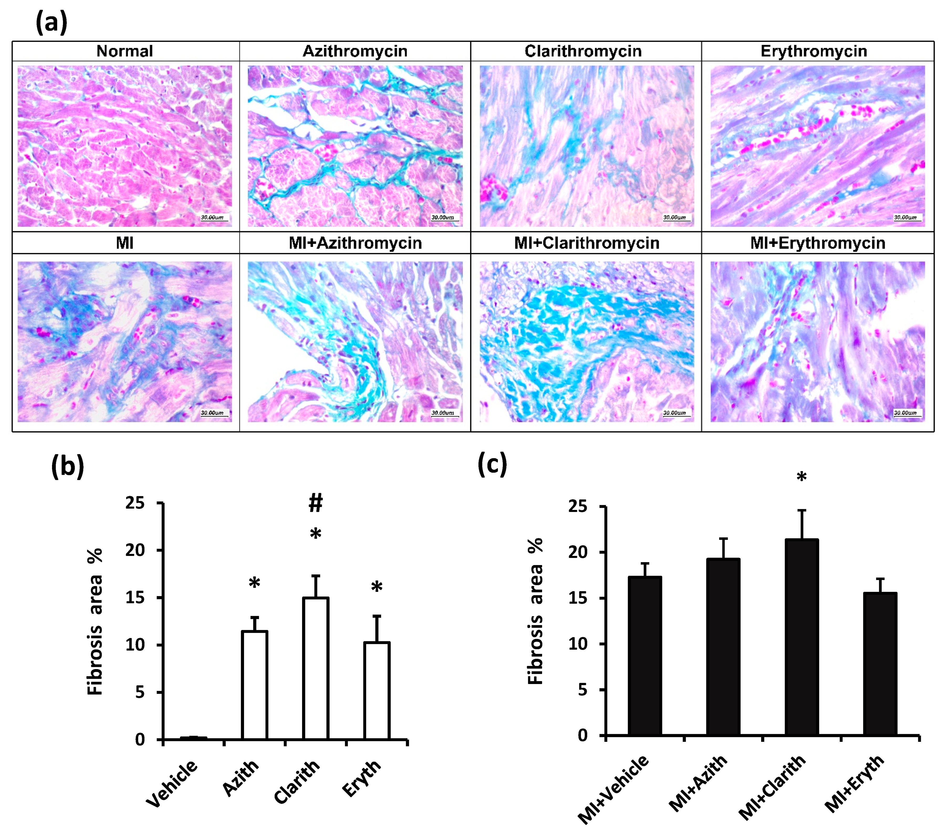 Pharmaceuticals 14 00597 g005