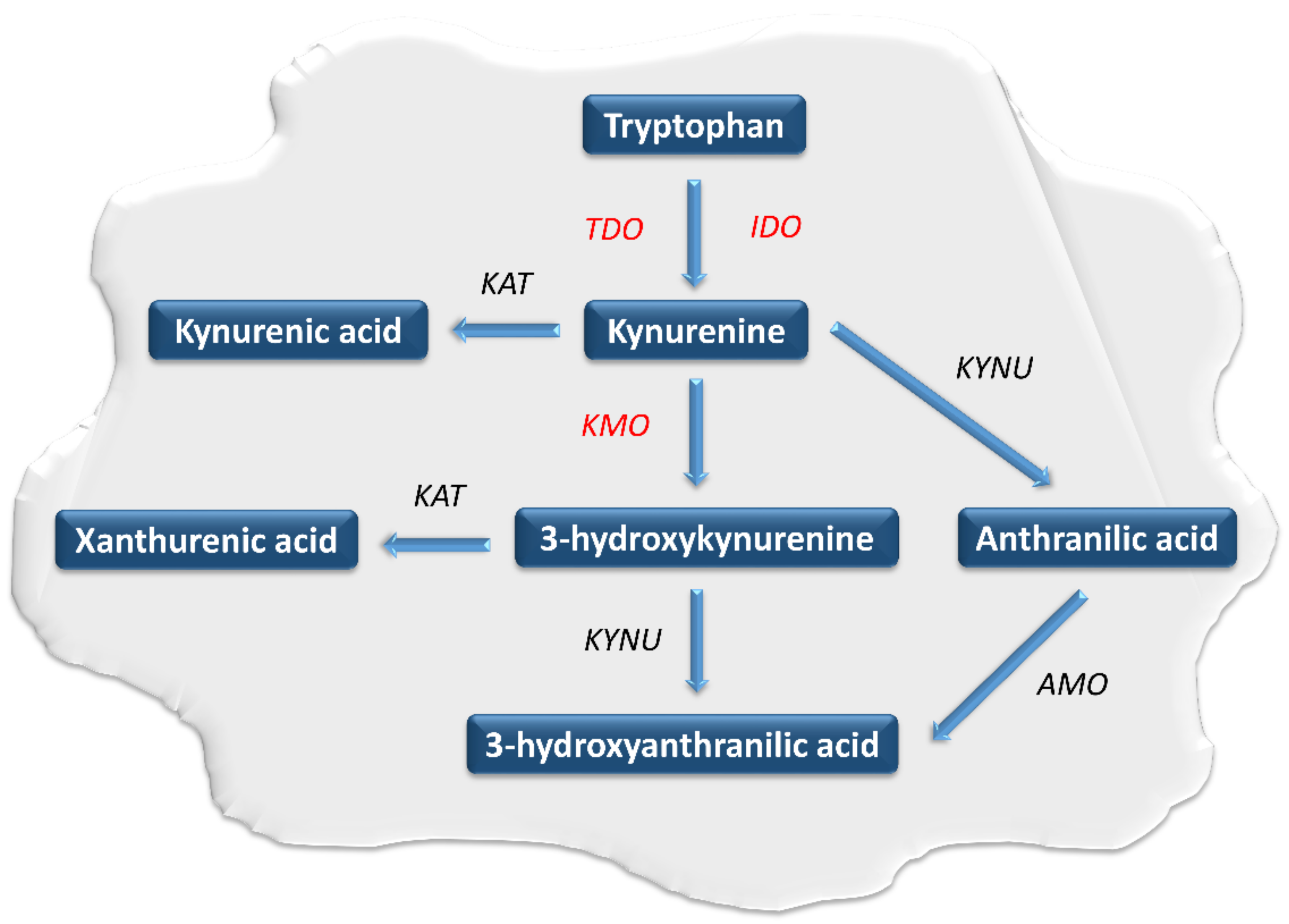 Pharmaceuticals 14 00606 g001