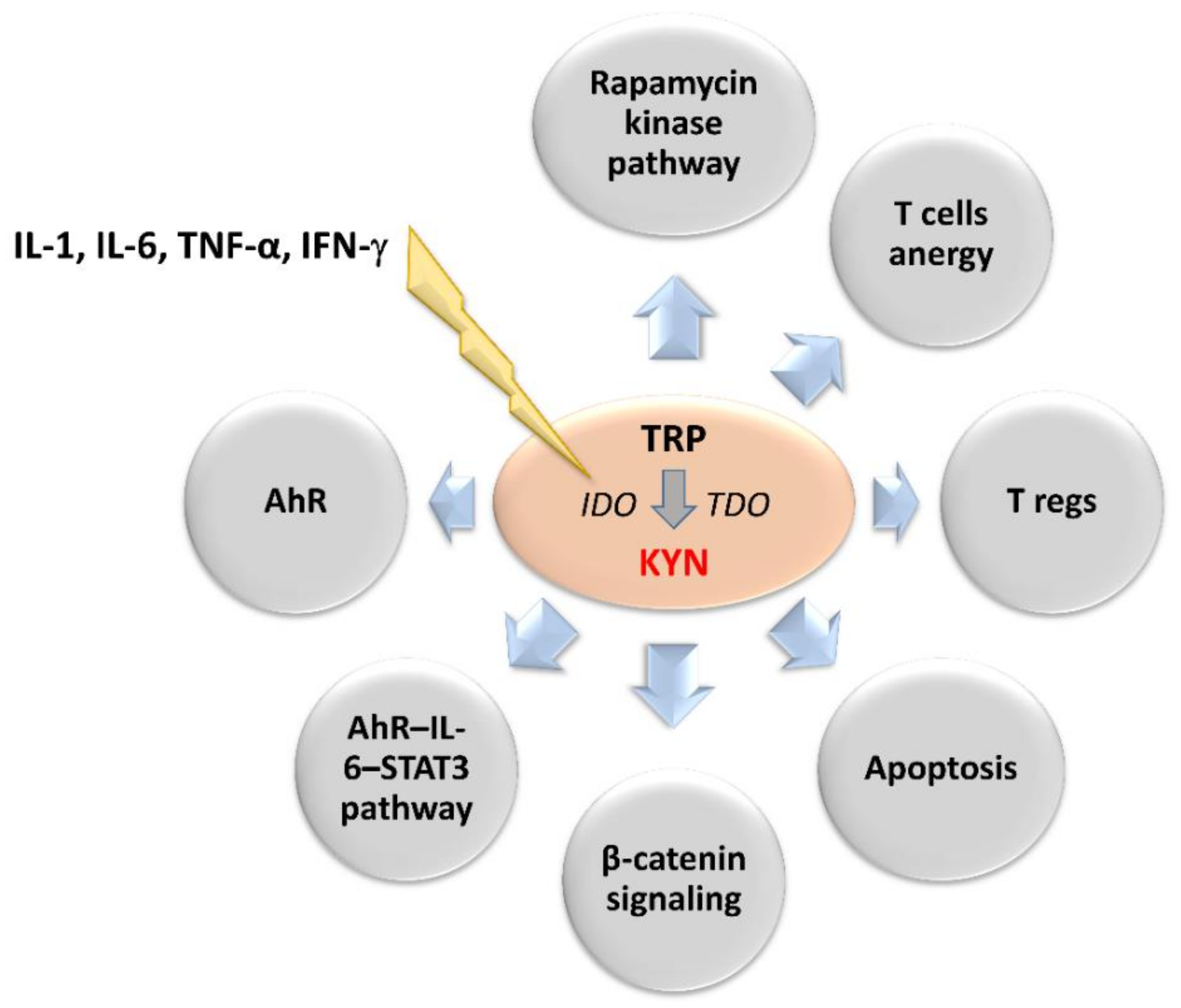 Pharmaceuticals 14 00606 g002